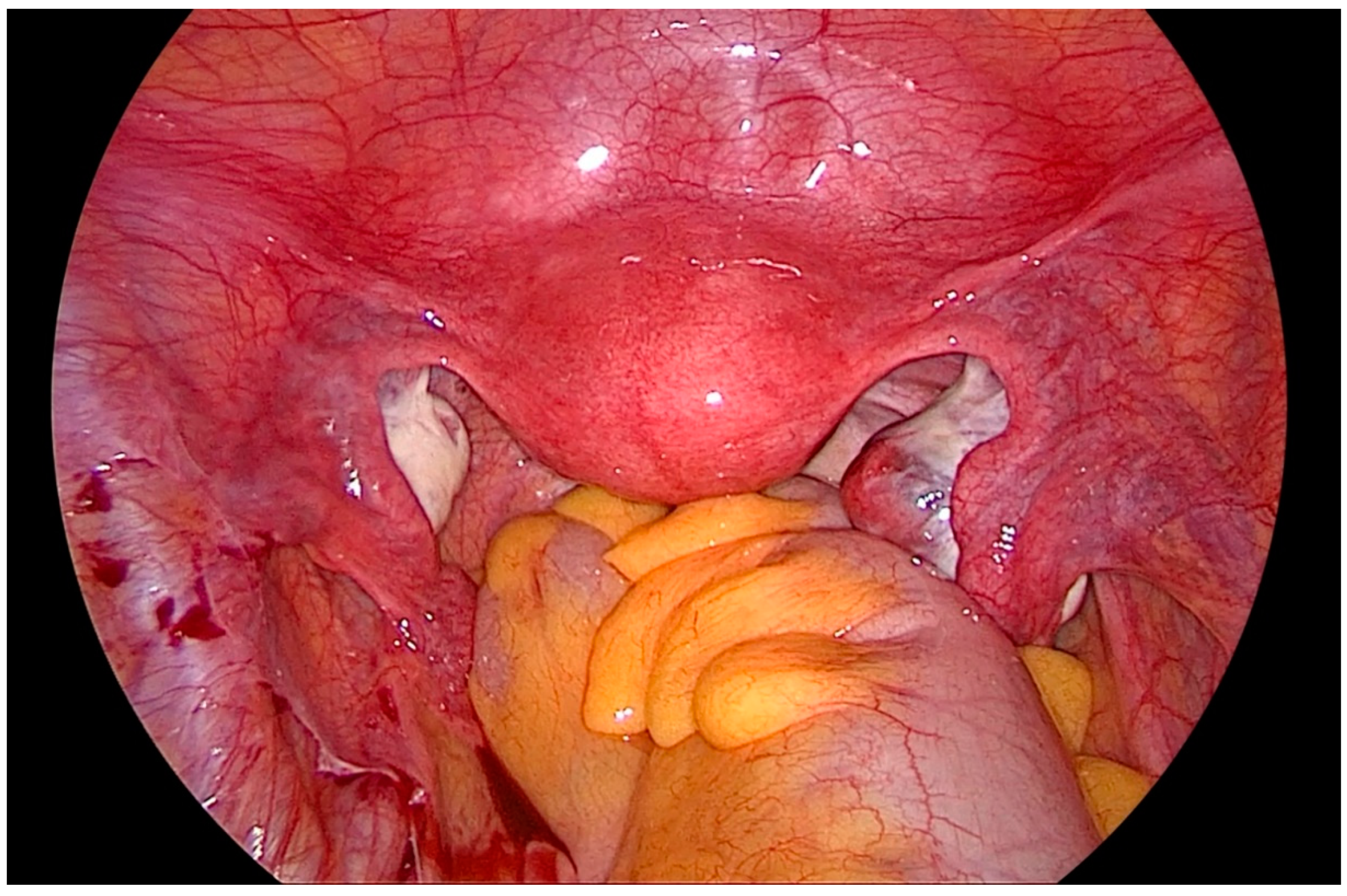 Biomedicines 08 00533 g001 Biomedicines 08 00533 g001