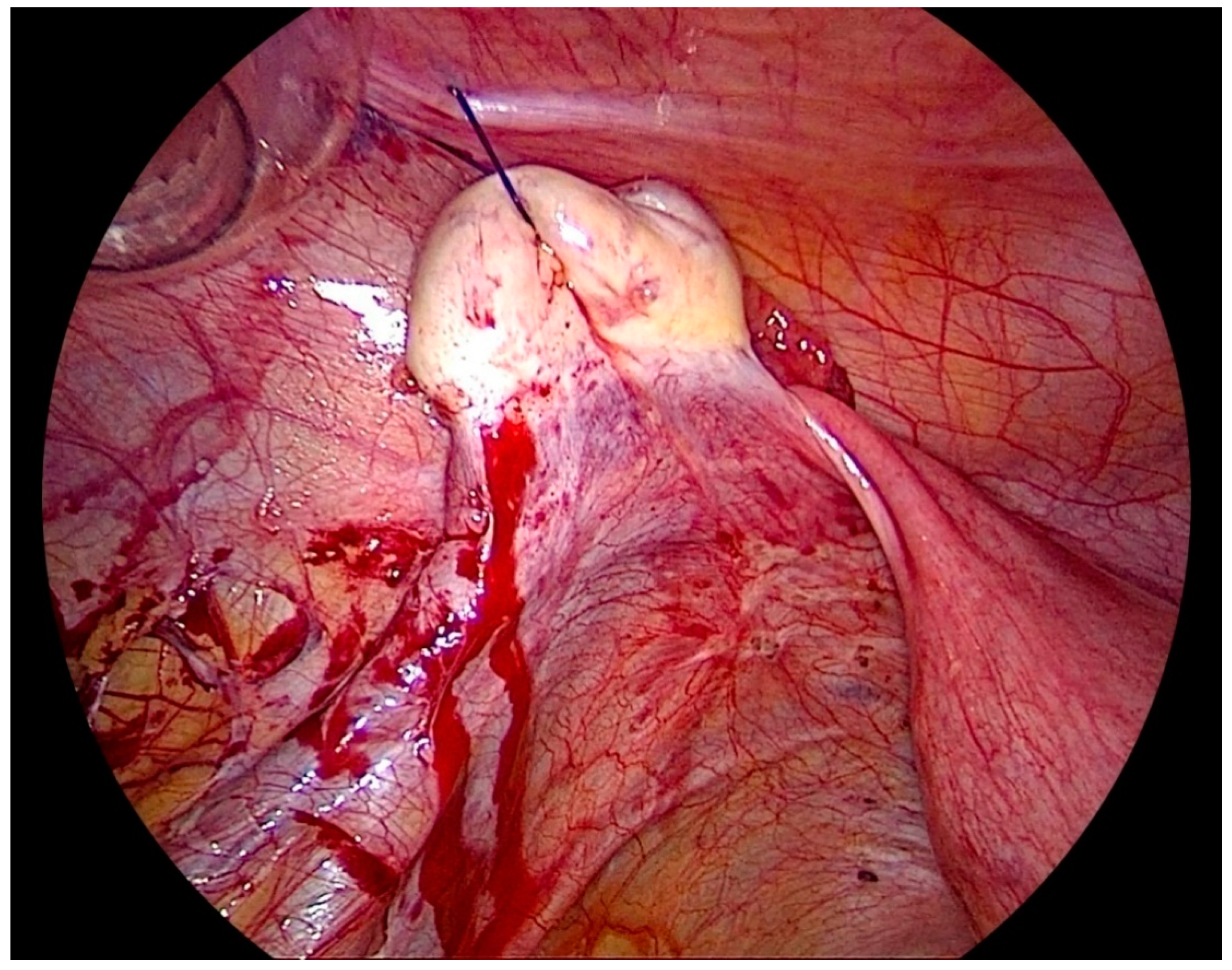 Biomedicines 08 00533 g002 Biomedicines 08 00533 g002