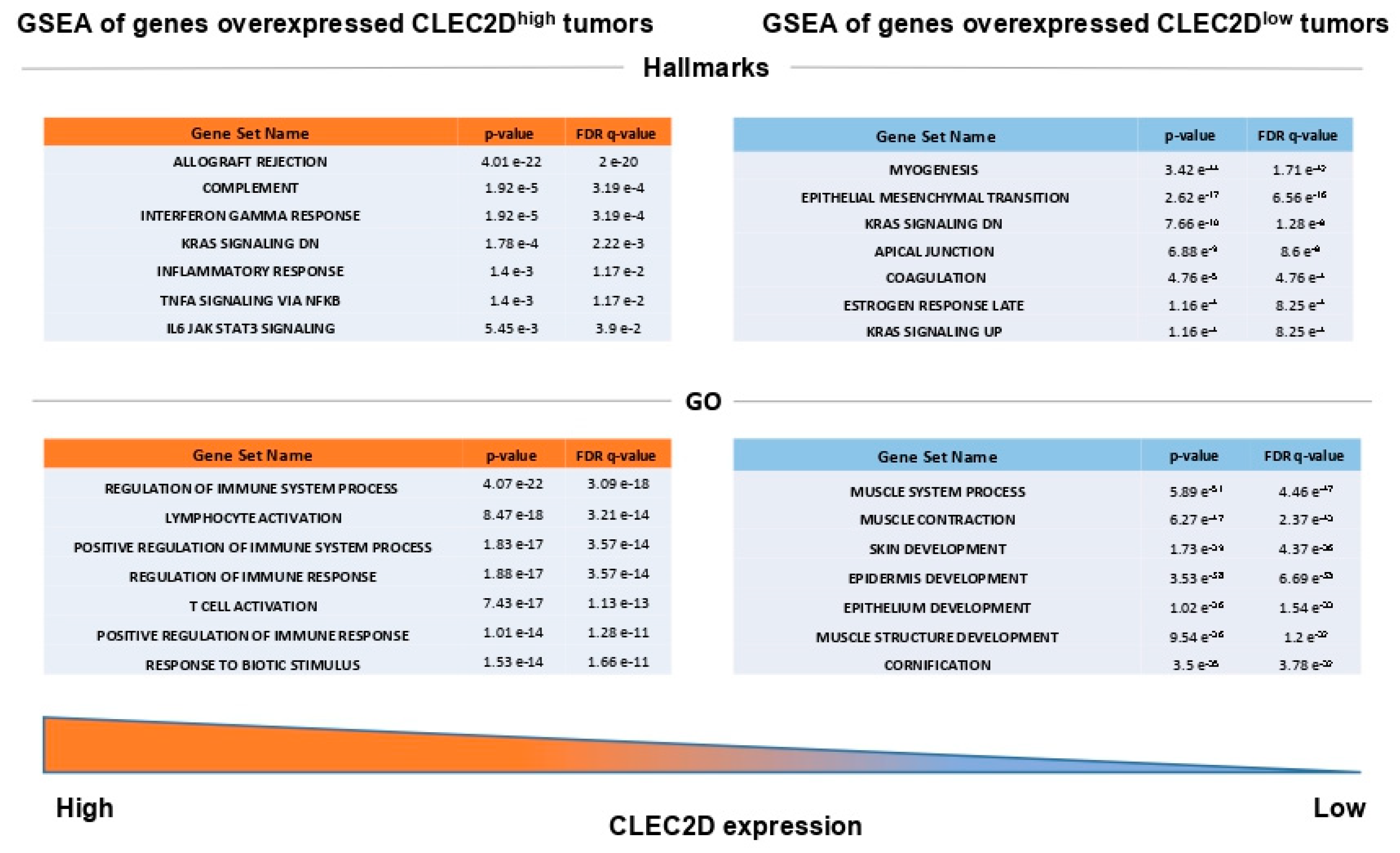 Biomedicines 08 00535 g006