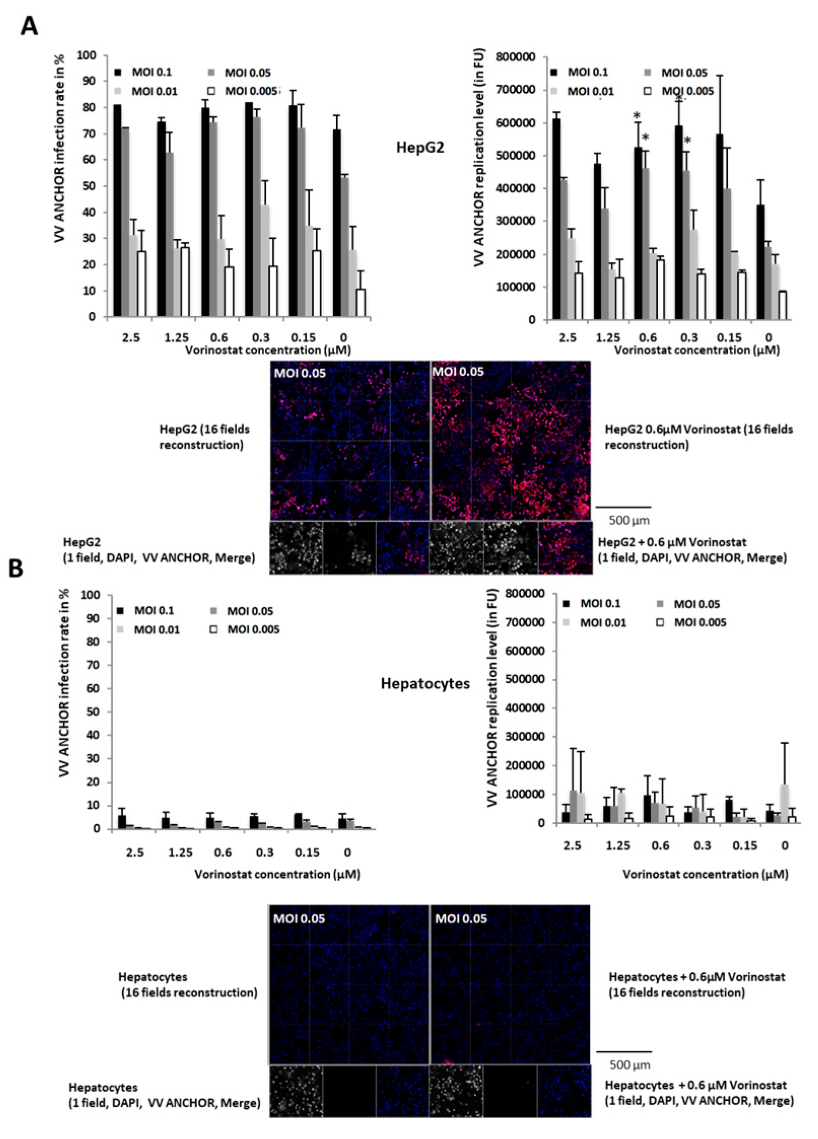 Biomedicines 08 00543 g005 Biomedicines 08 00543 g005