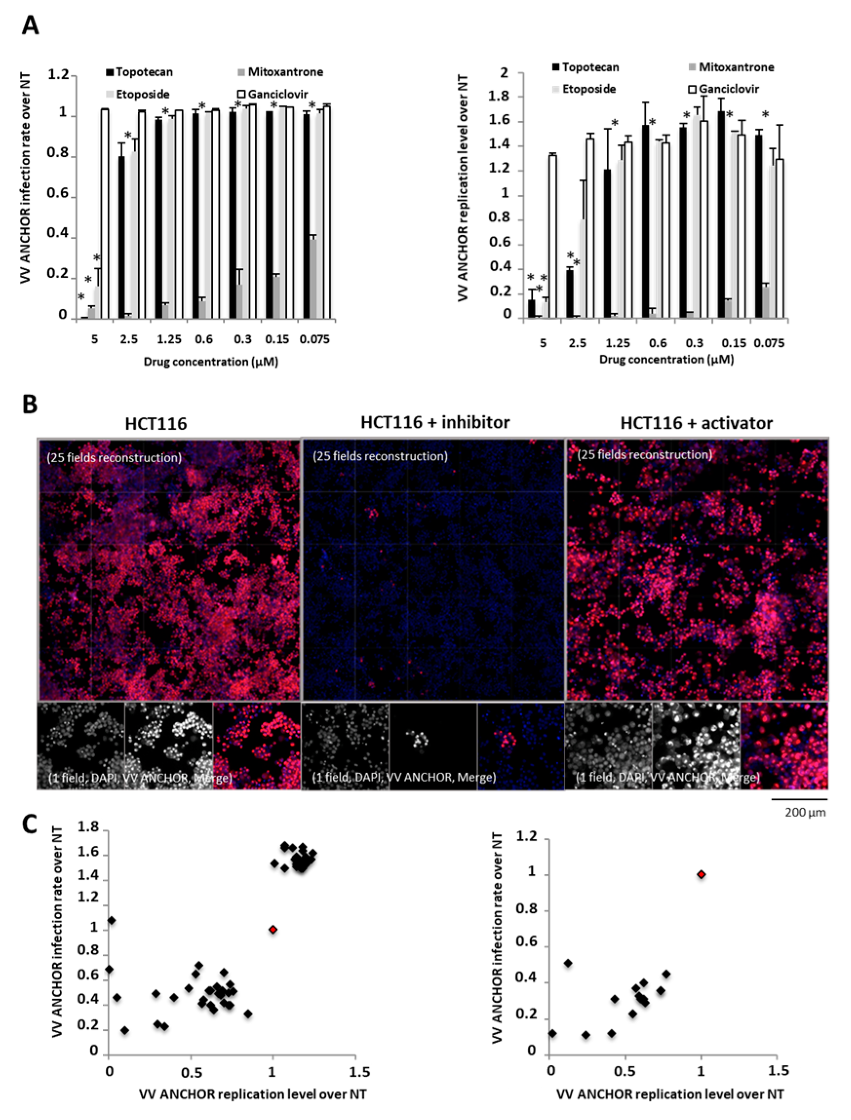 Biomedicines 08 00543 g006 Biomedicines 08 00543 g006
