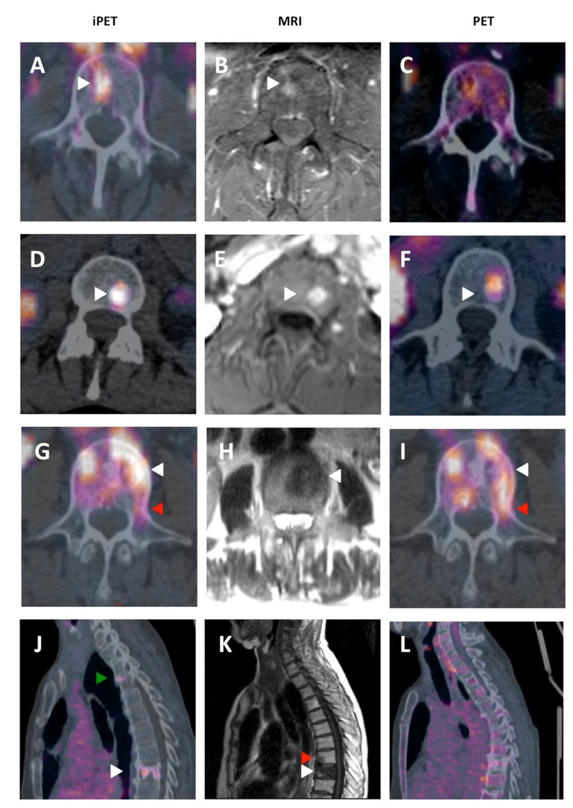 Biomedicines 08 00548 g005