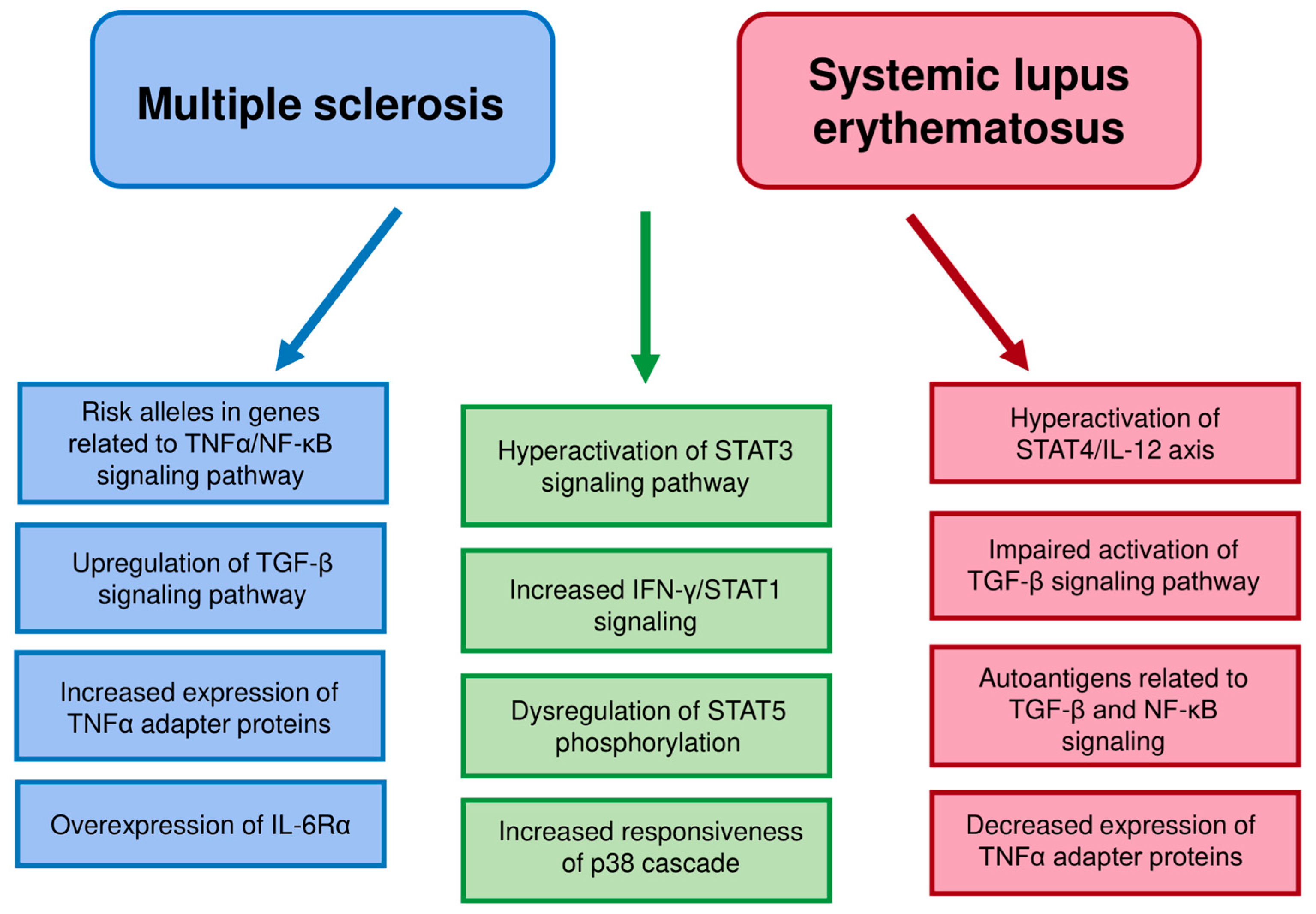 Biomedicines 08 00559 g001 Biomedicines 08 00559 g001