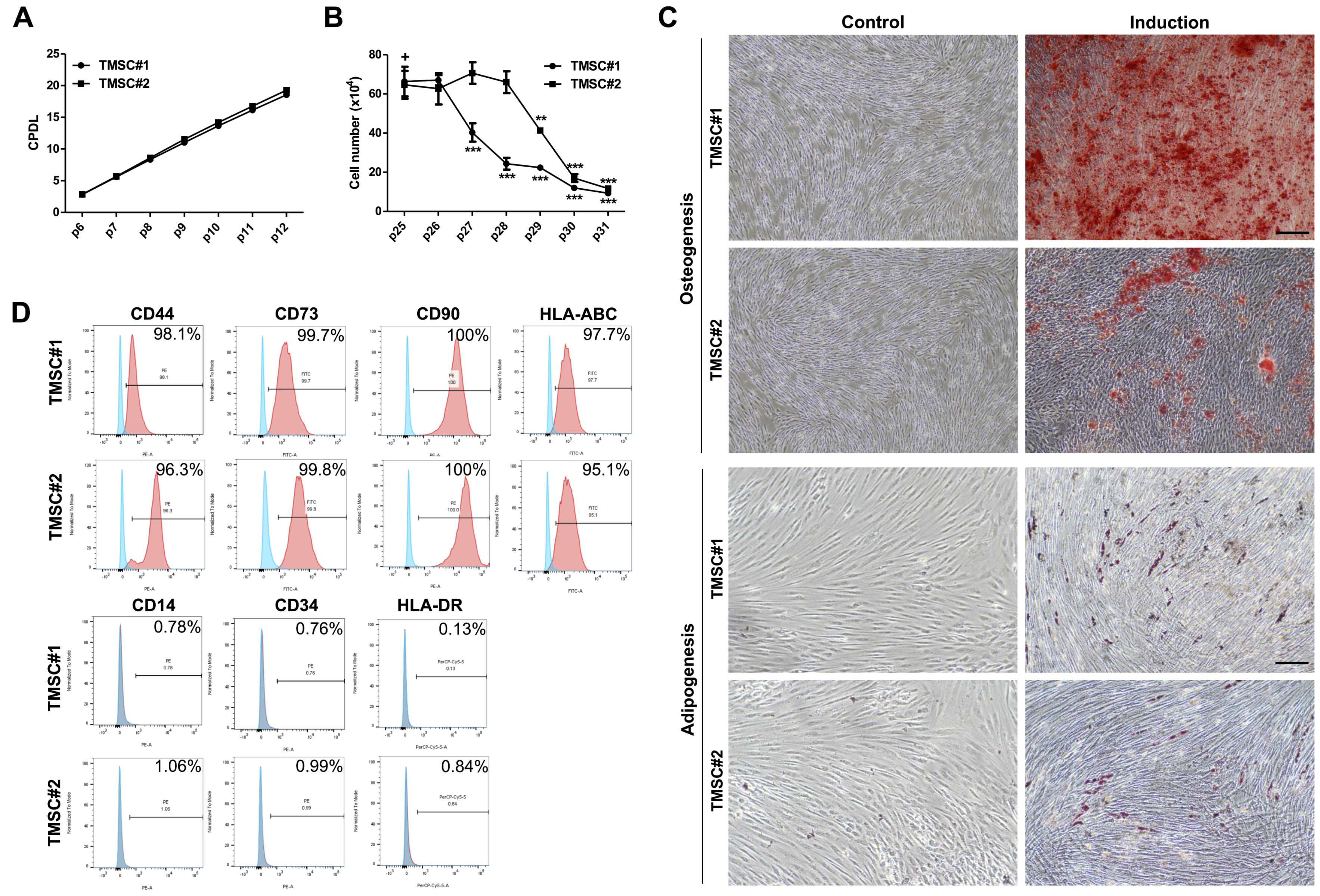 Biomedicines 08 00561 g001