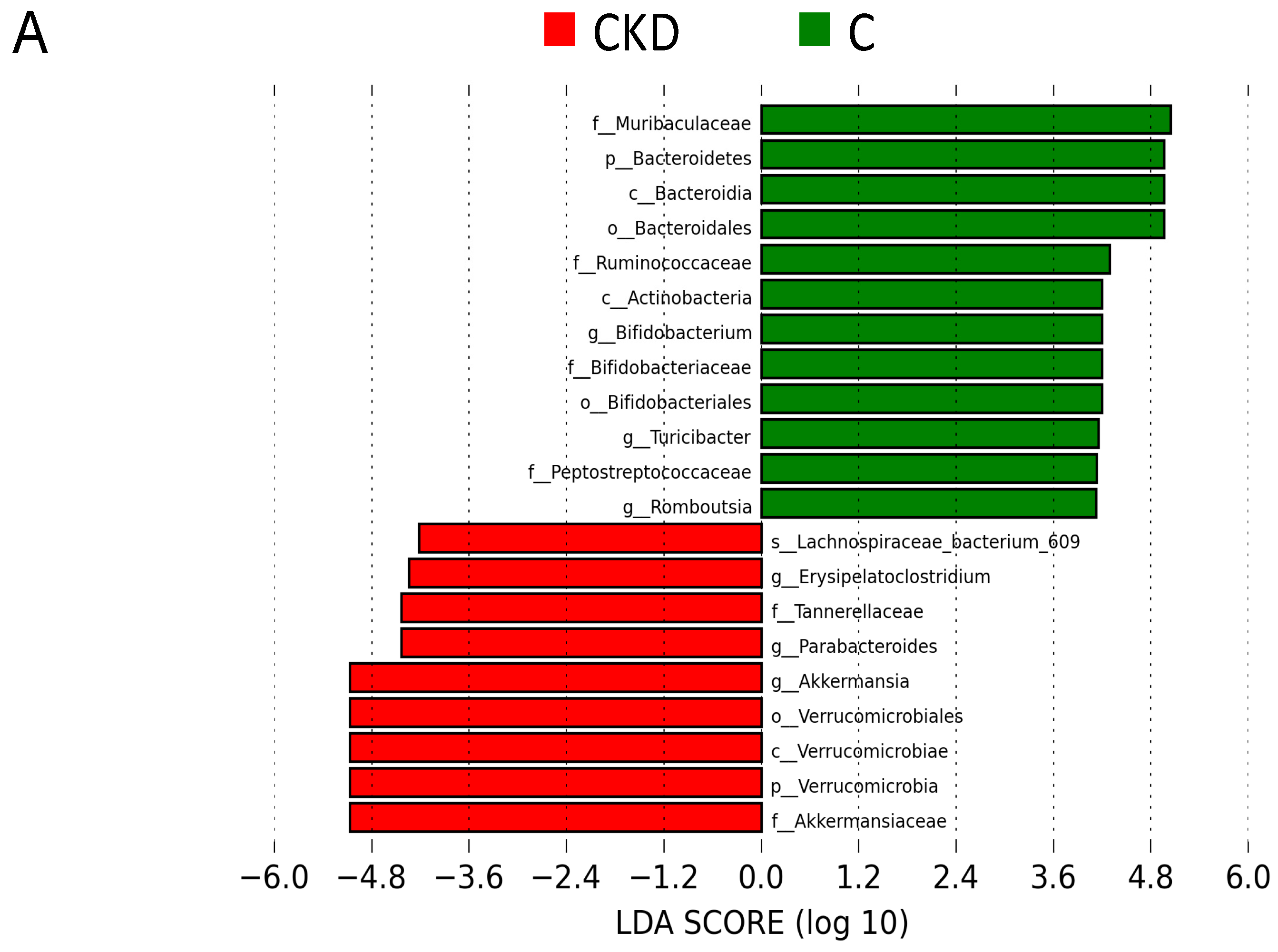 Biomedicines 08 00567 g005a