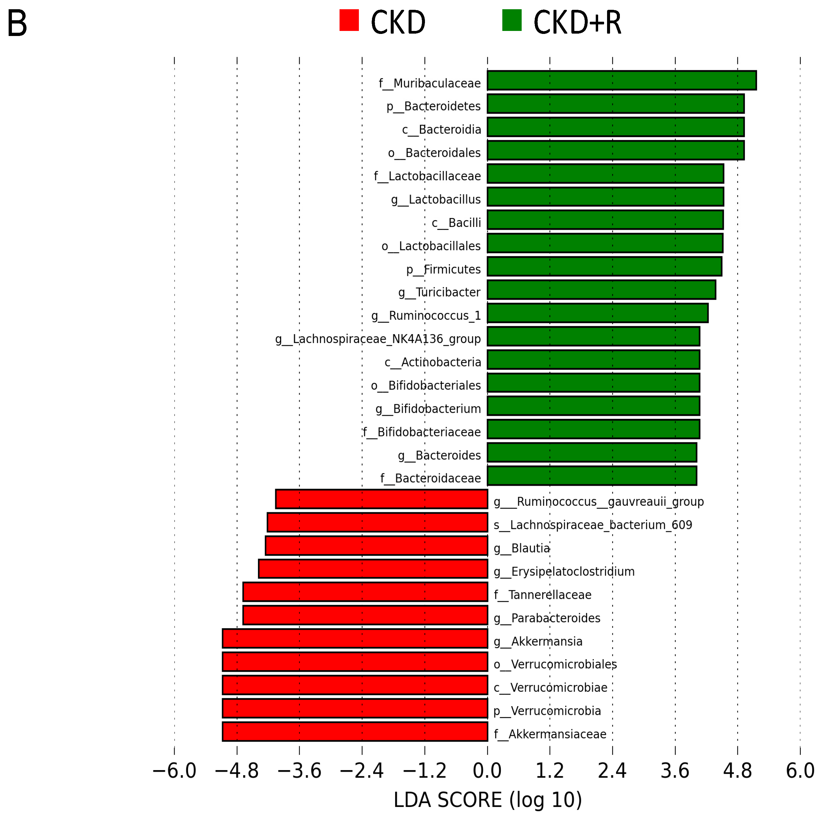 Biomedicines 08 00567 g005b