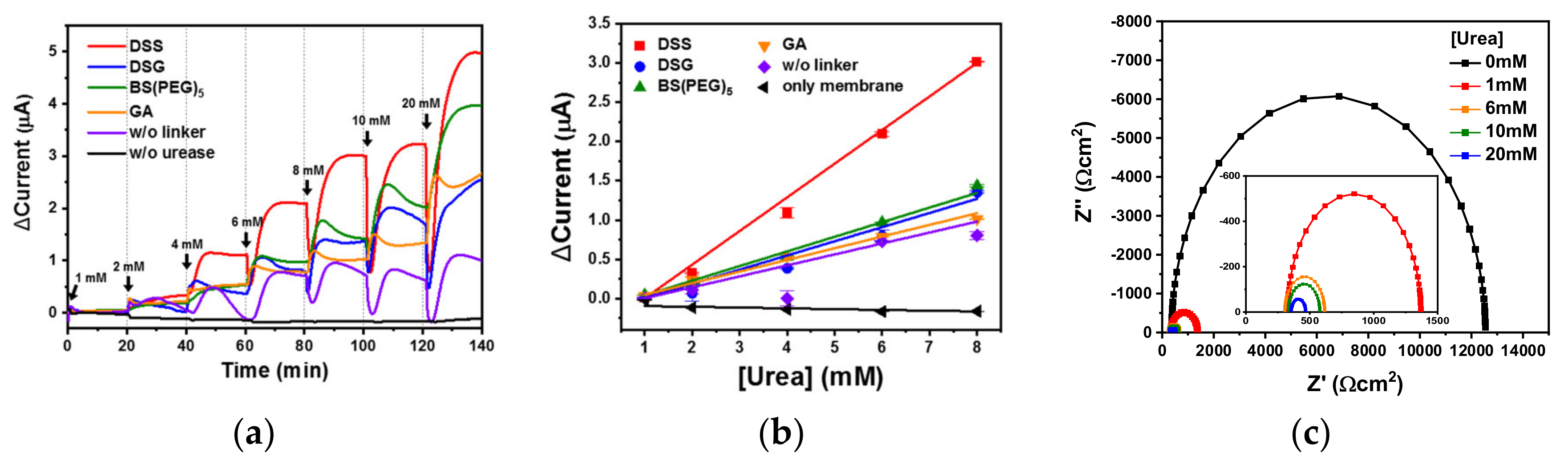 Biomedicines 08 00596 g005