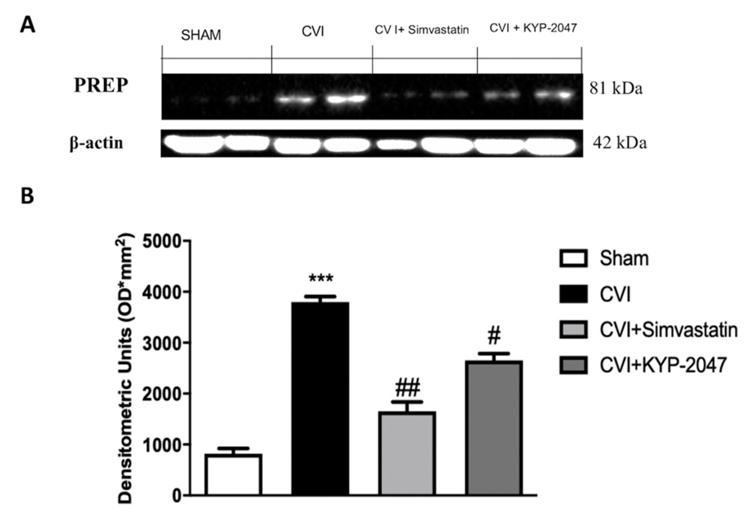Biomedicines 08 00604 g001