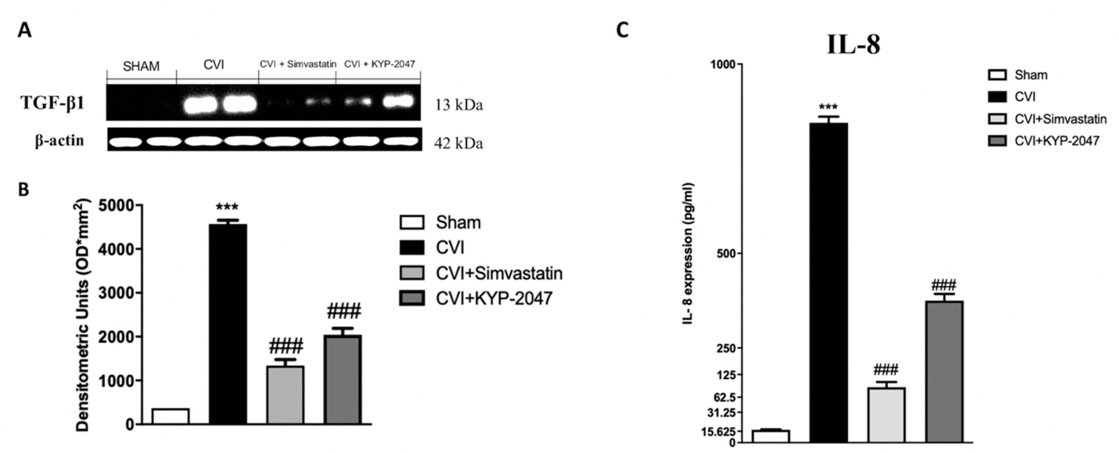 Biomedicines 08 00604 g002