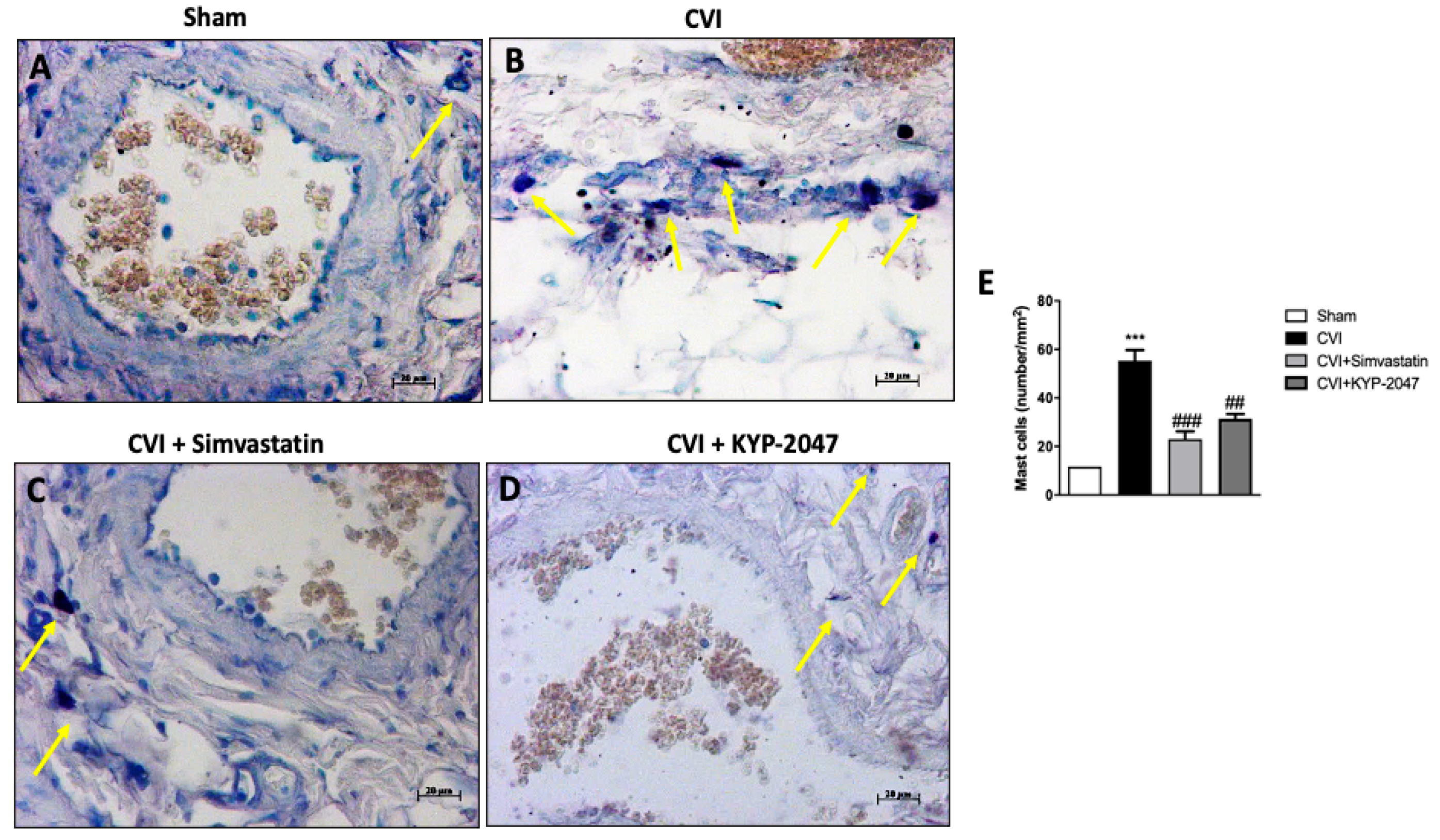 Biomedicines 08 00604 g007