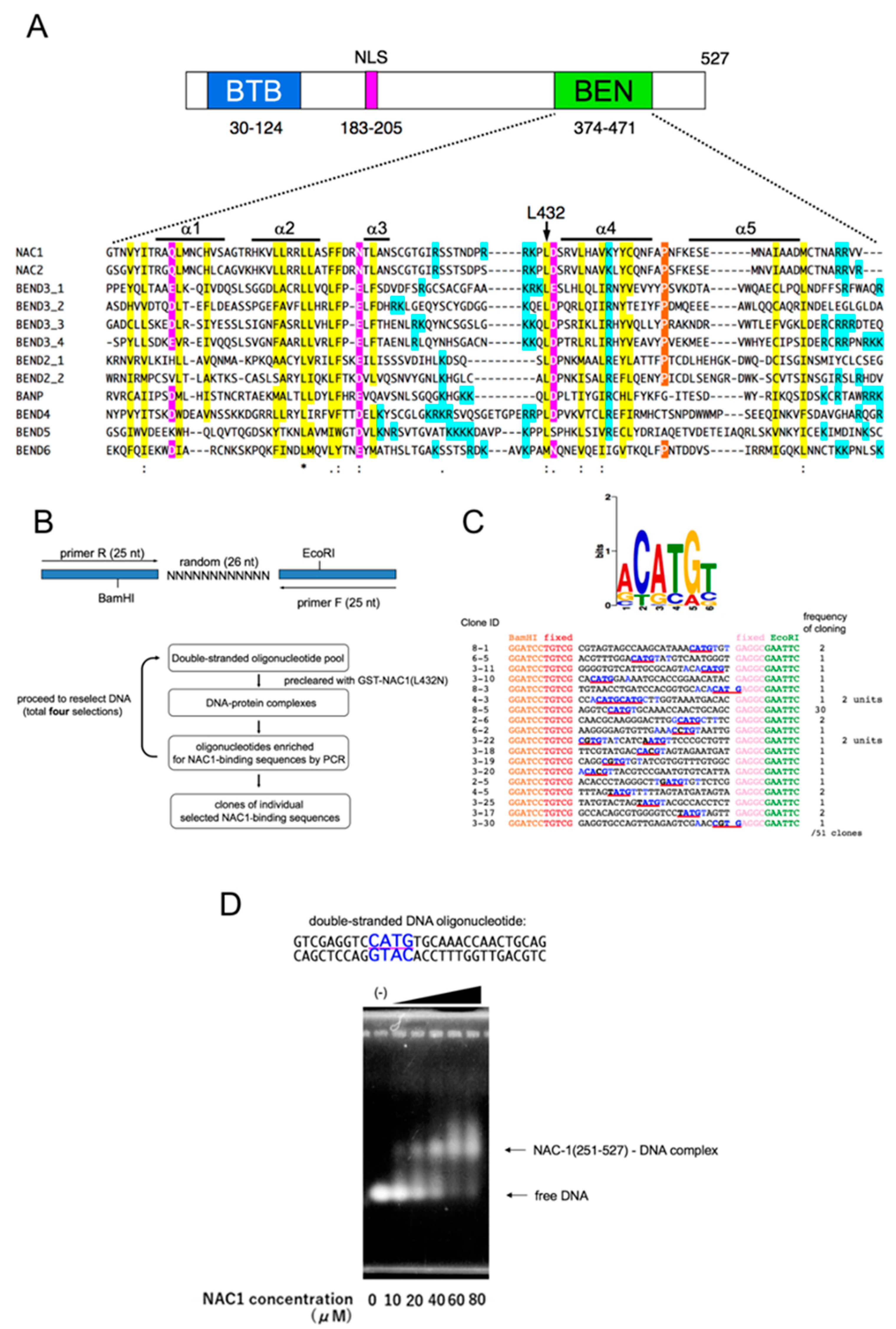 Biomedicines 08 00608 g001