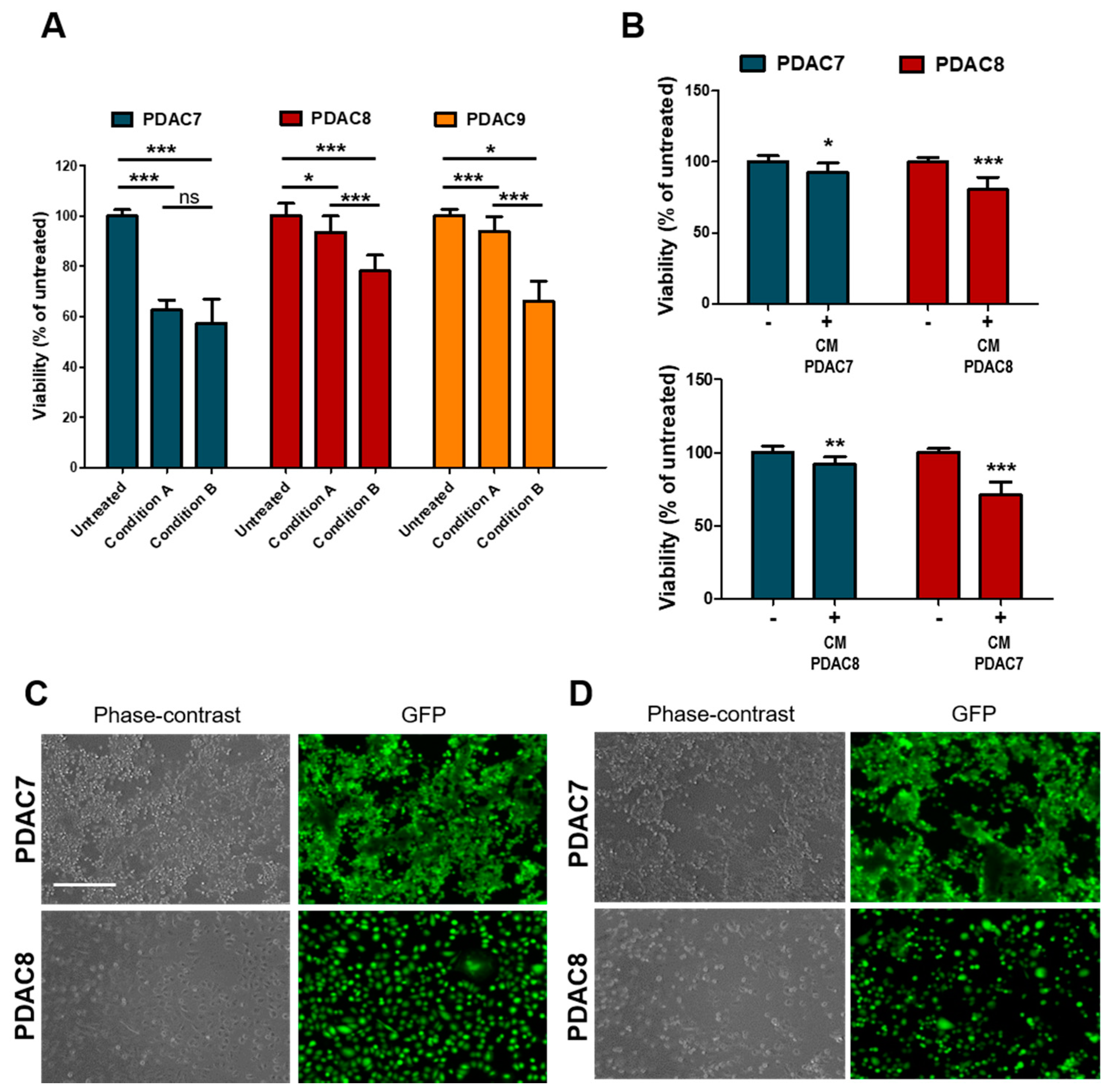 Biomedicines 08 00609 g004