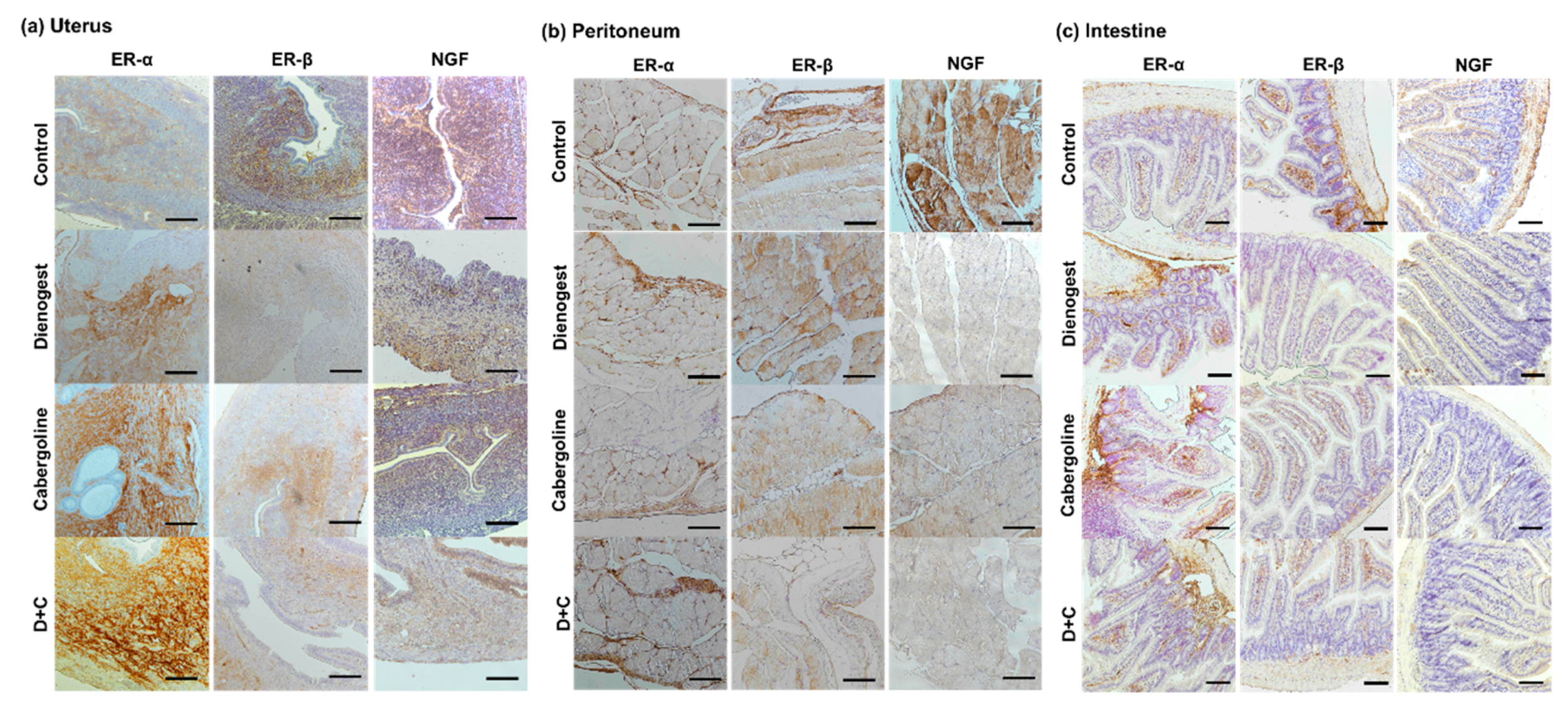Biomedicines 08 00619 g003