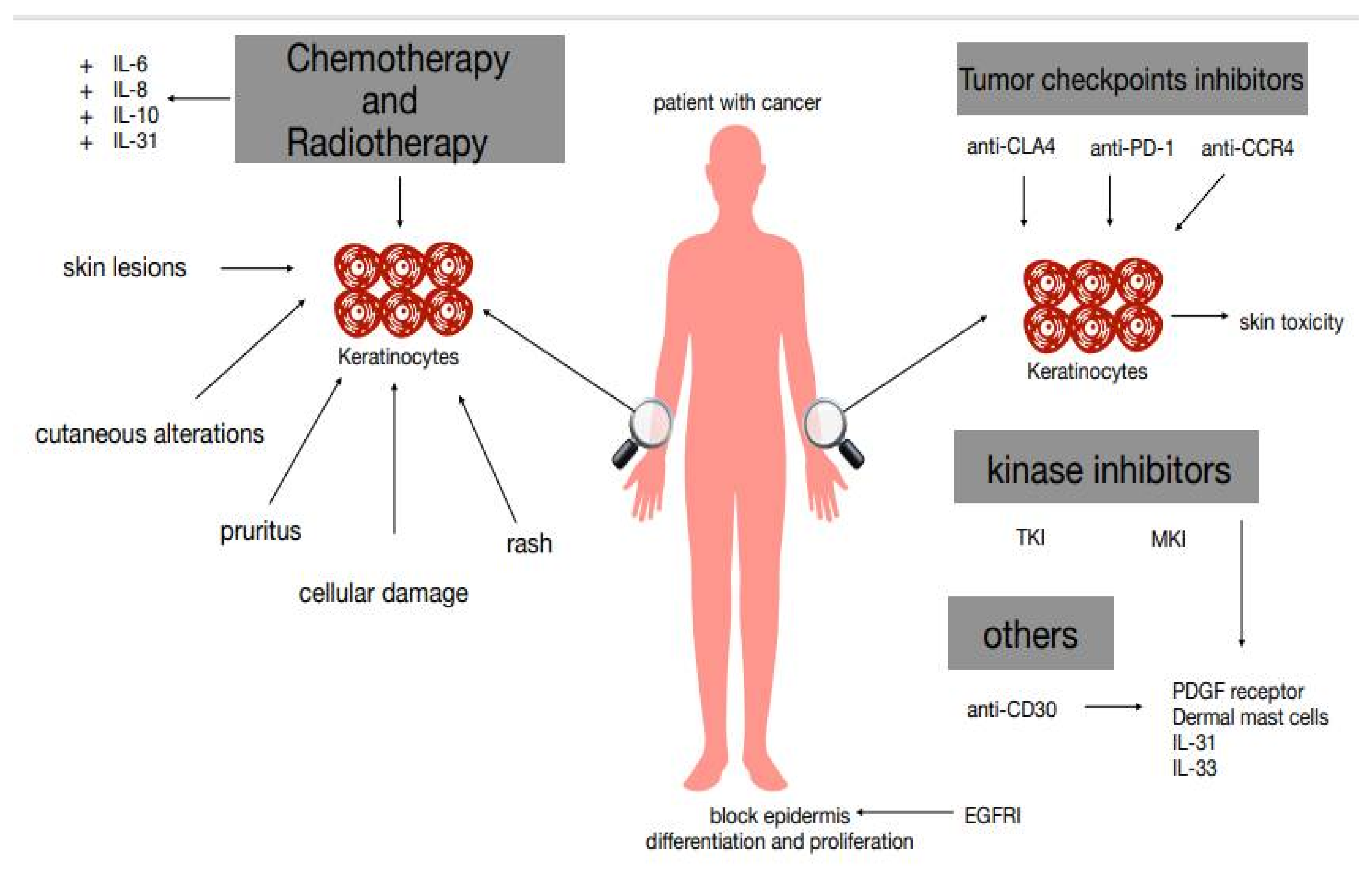Biomedicines 09 00002 g001