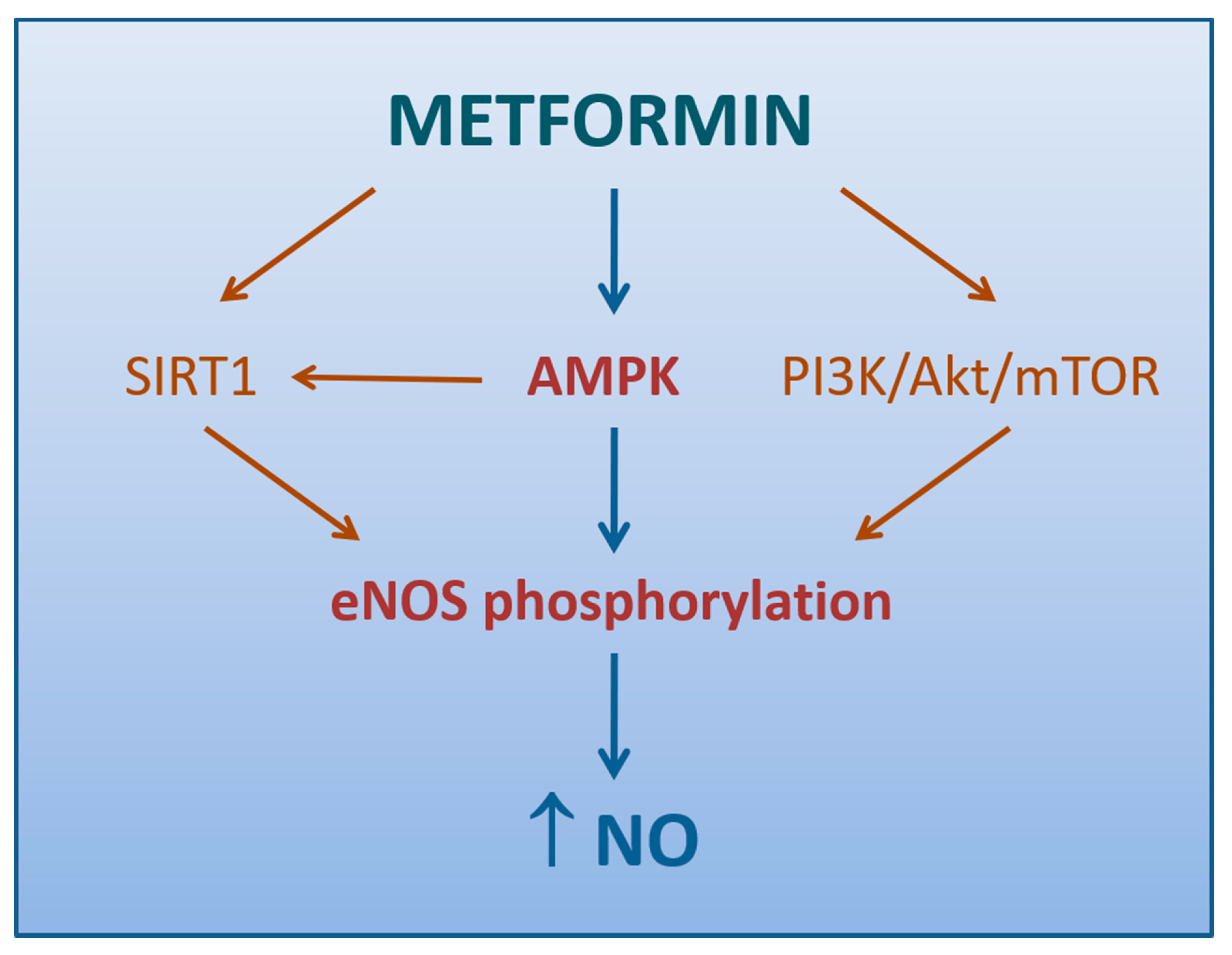 Biomedicines 09 00003 g002