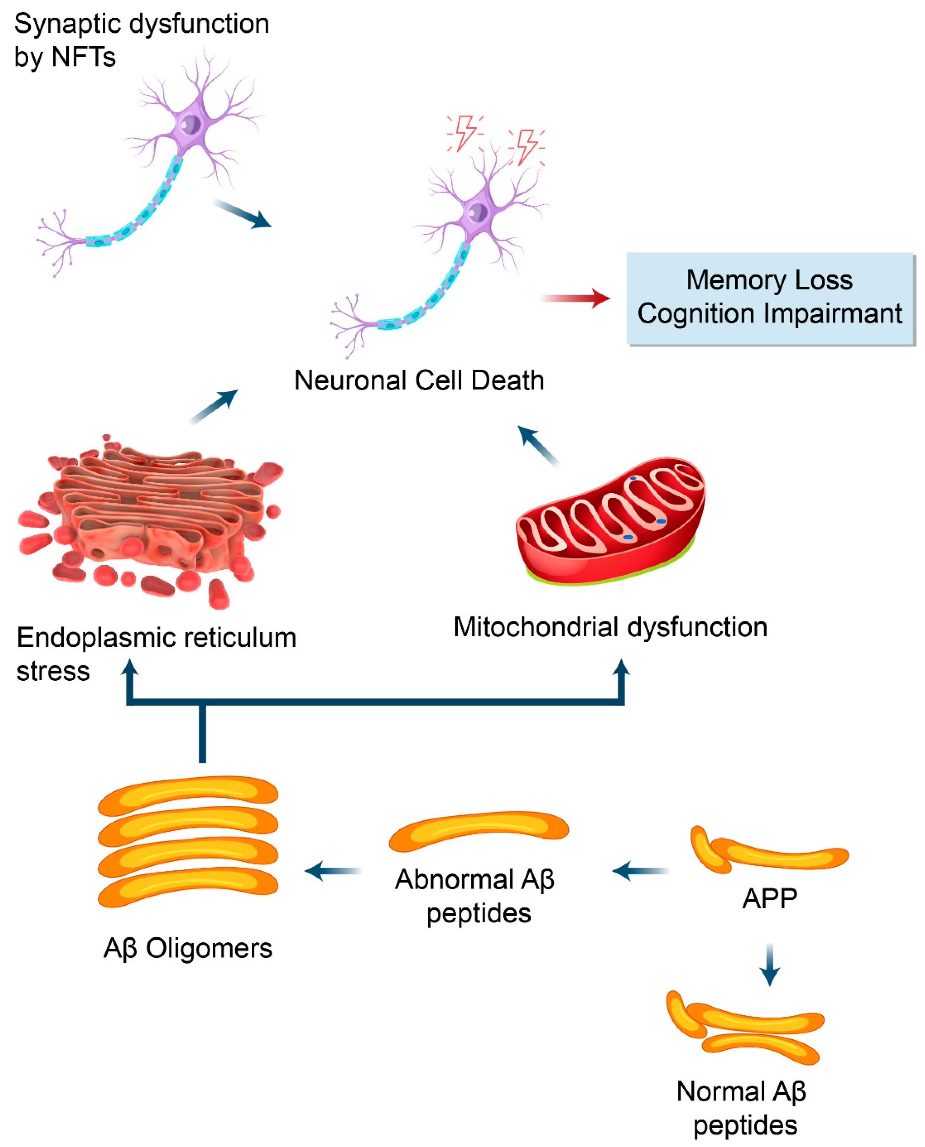 Biomedicines 09 00005 g004 Biomedicines 09 00005 g004