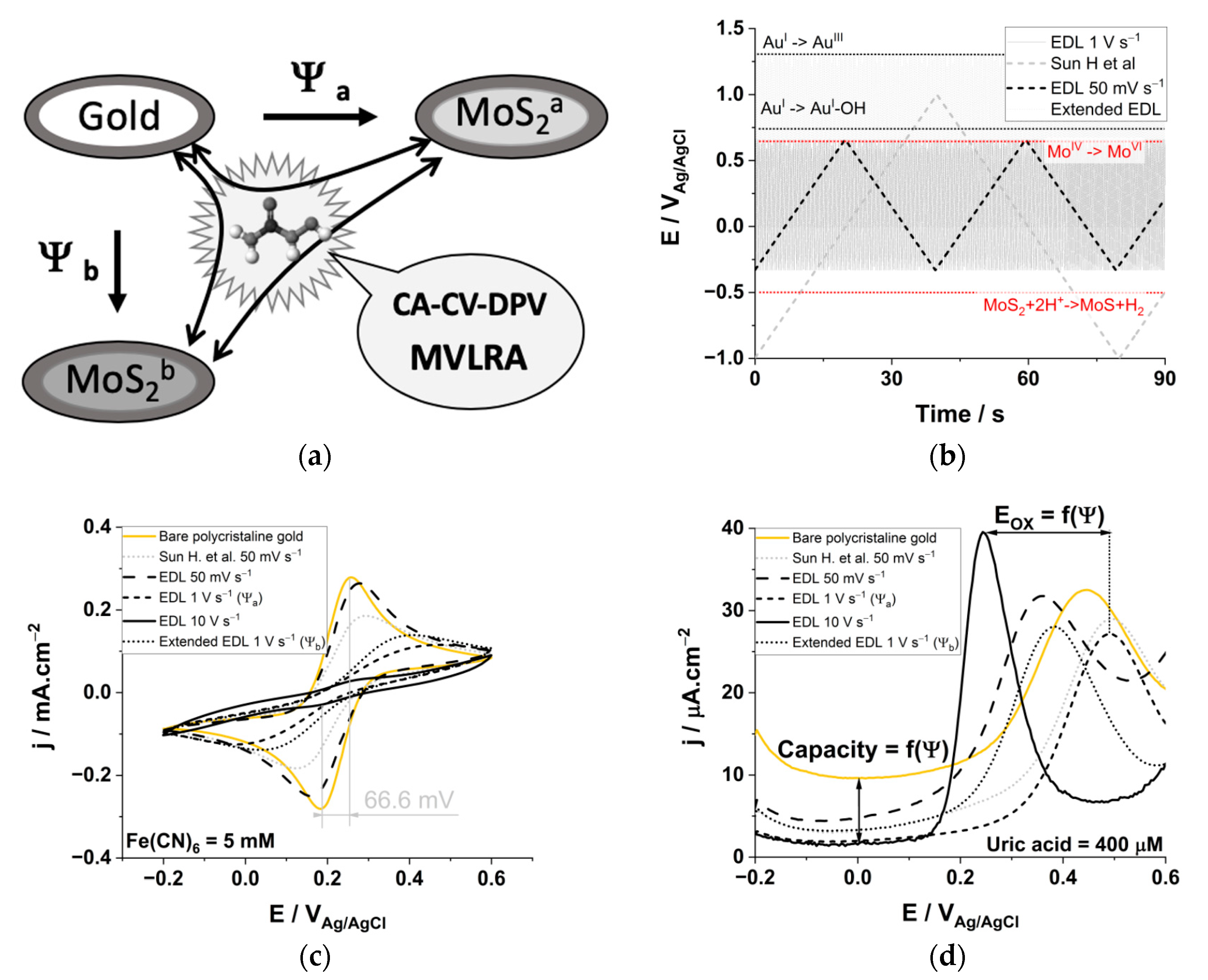 Biomedicines 09 00006 g001