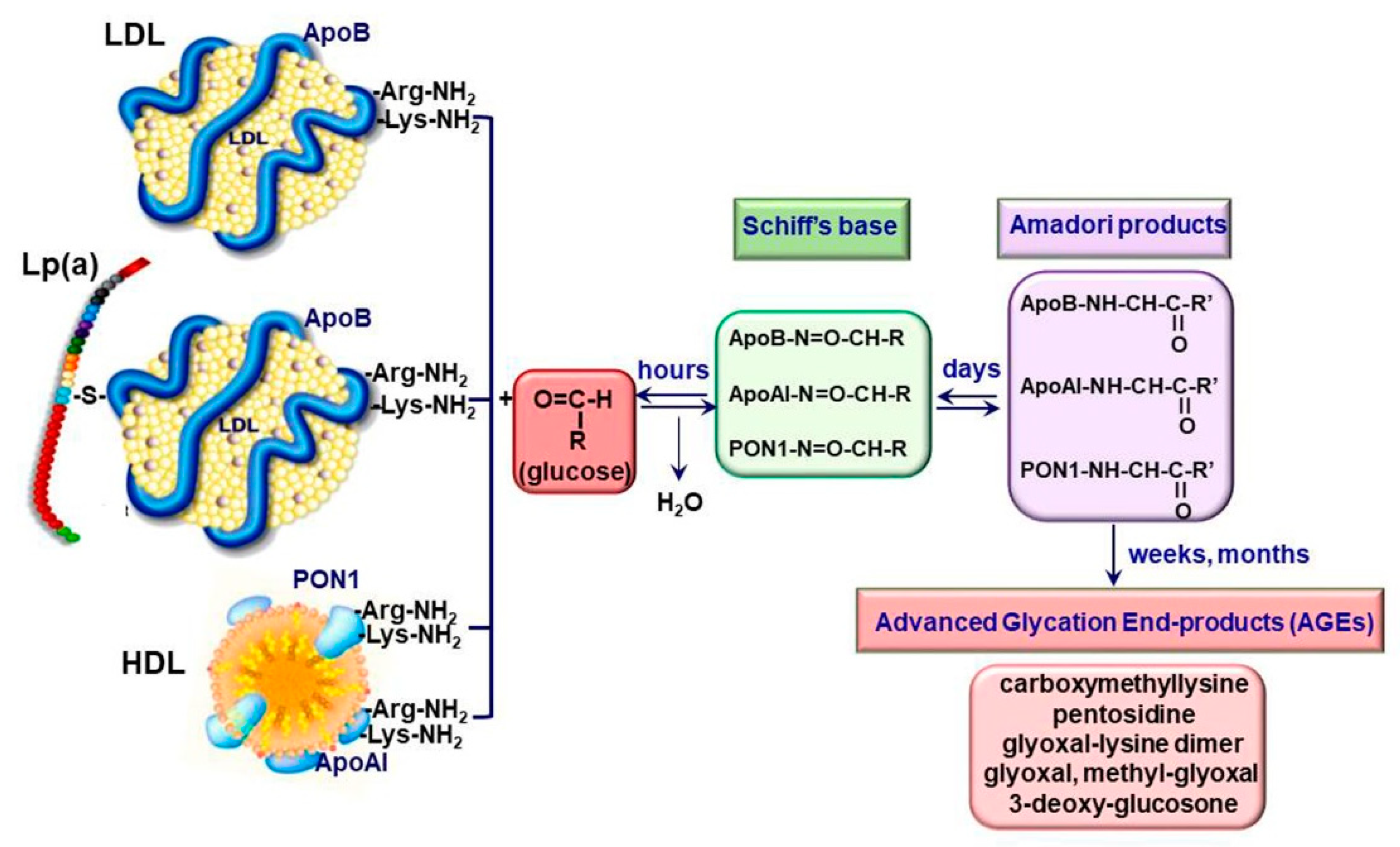 Biomedicines 09 00018 g001