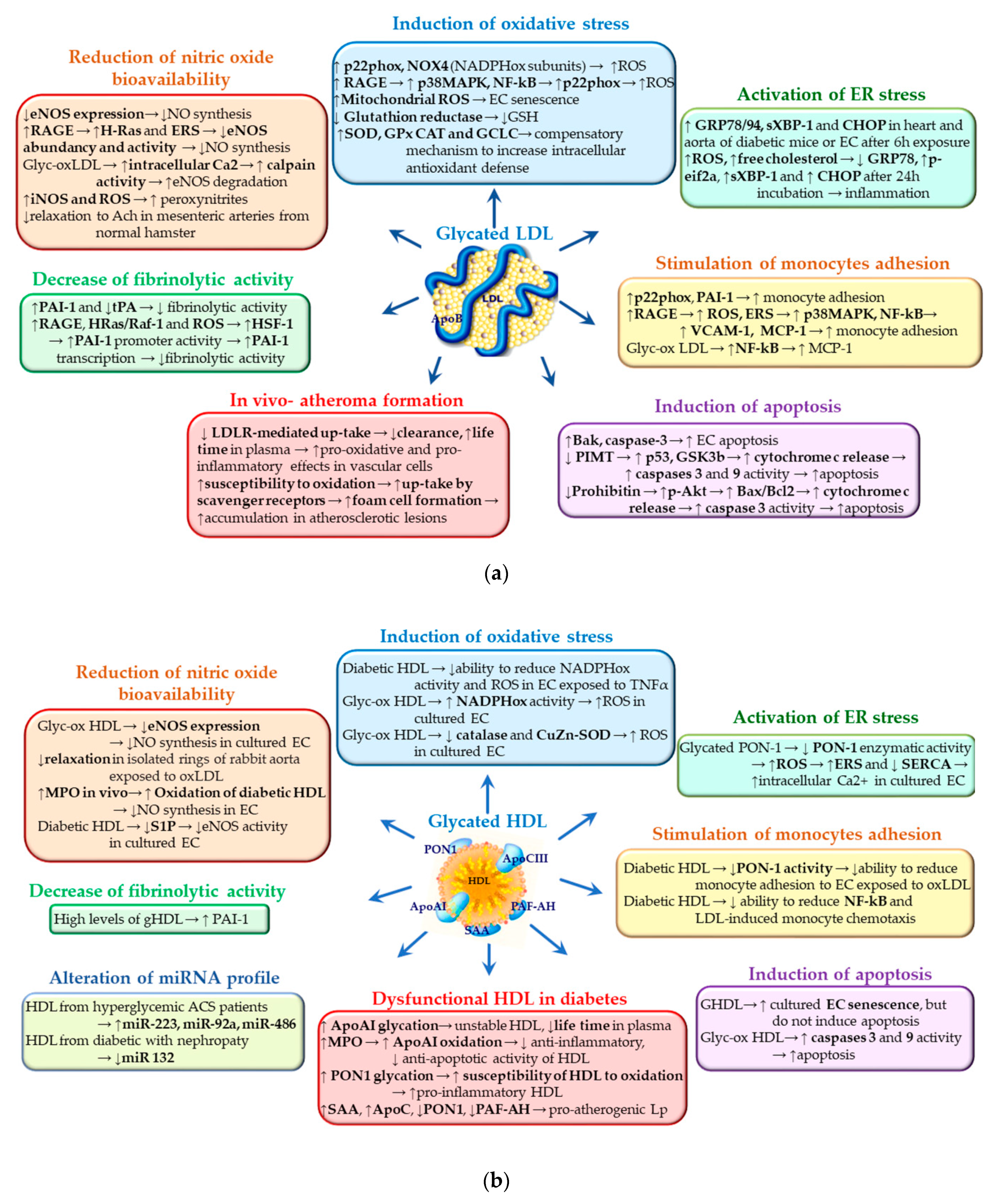 Biomedicines 09 00018 g003
