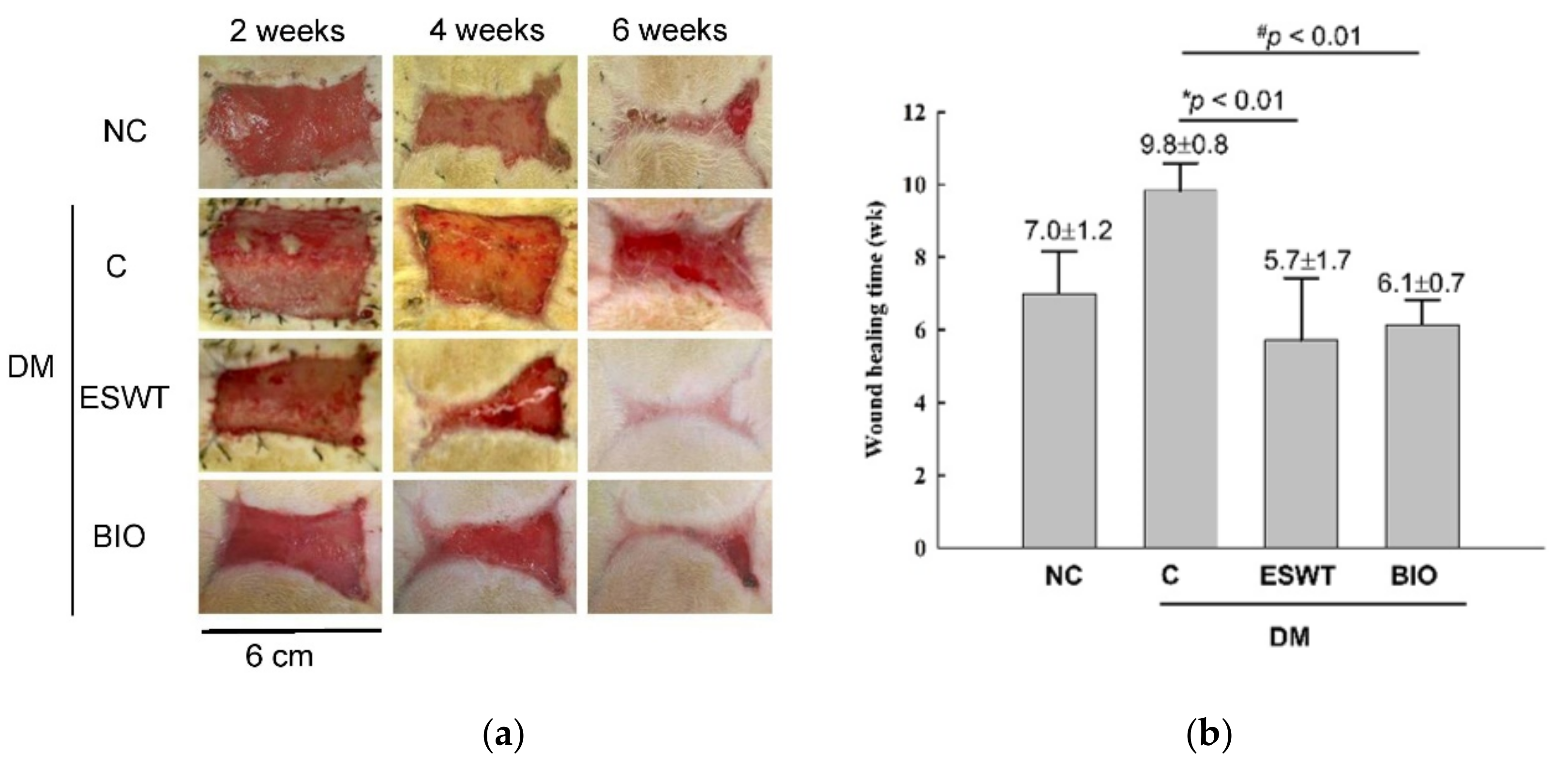 Biomedicines 09 00021 g001