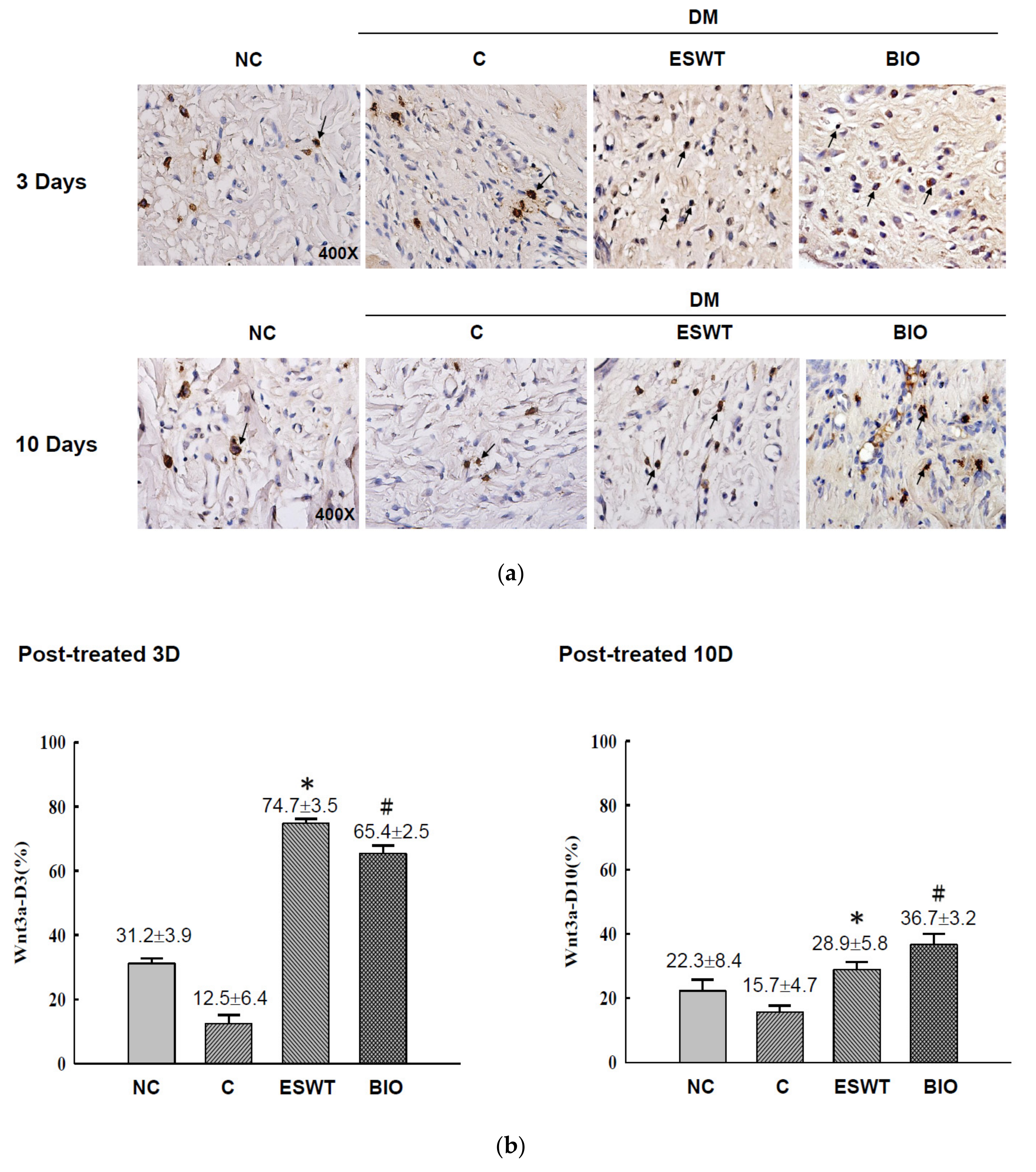 Biomedicines 09 00021 g002