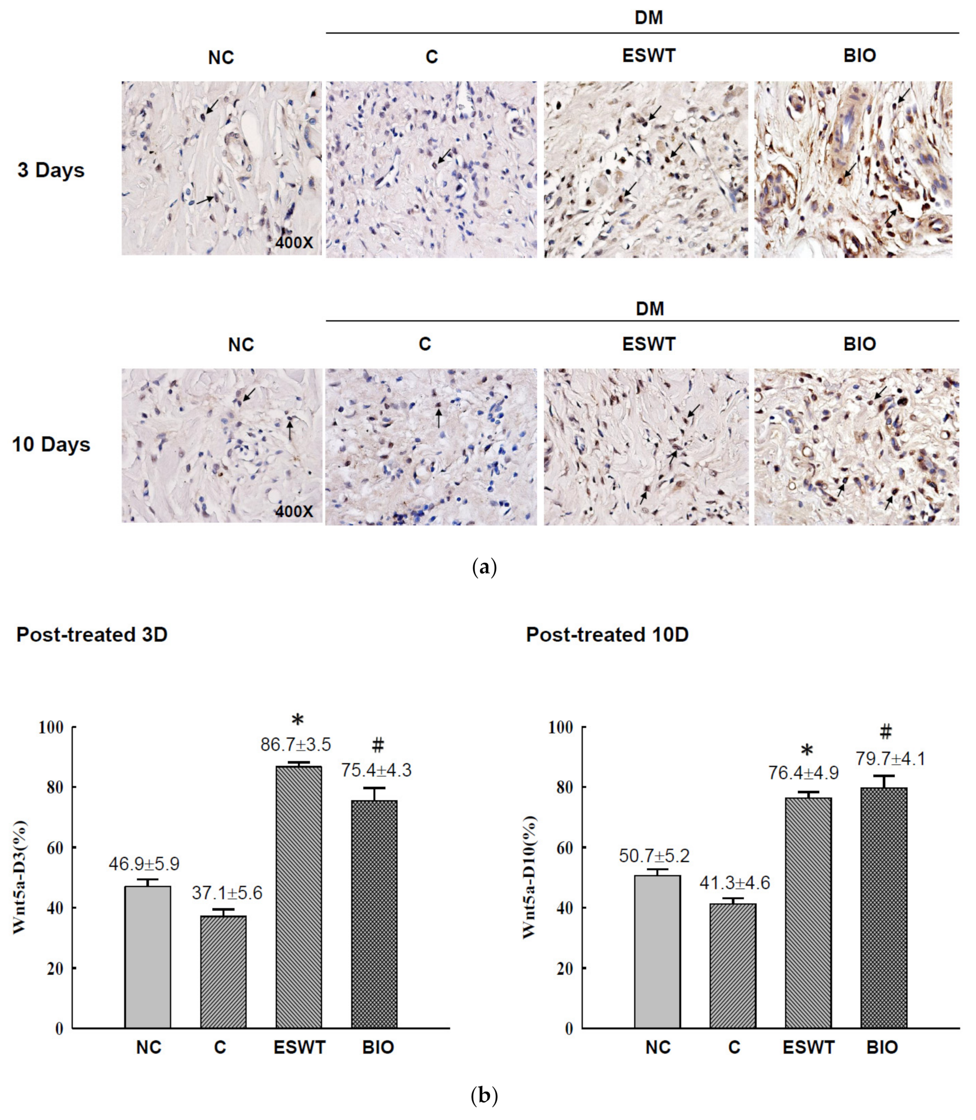 Biomedicines 09 00021 g003