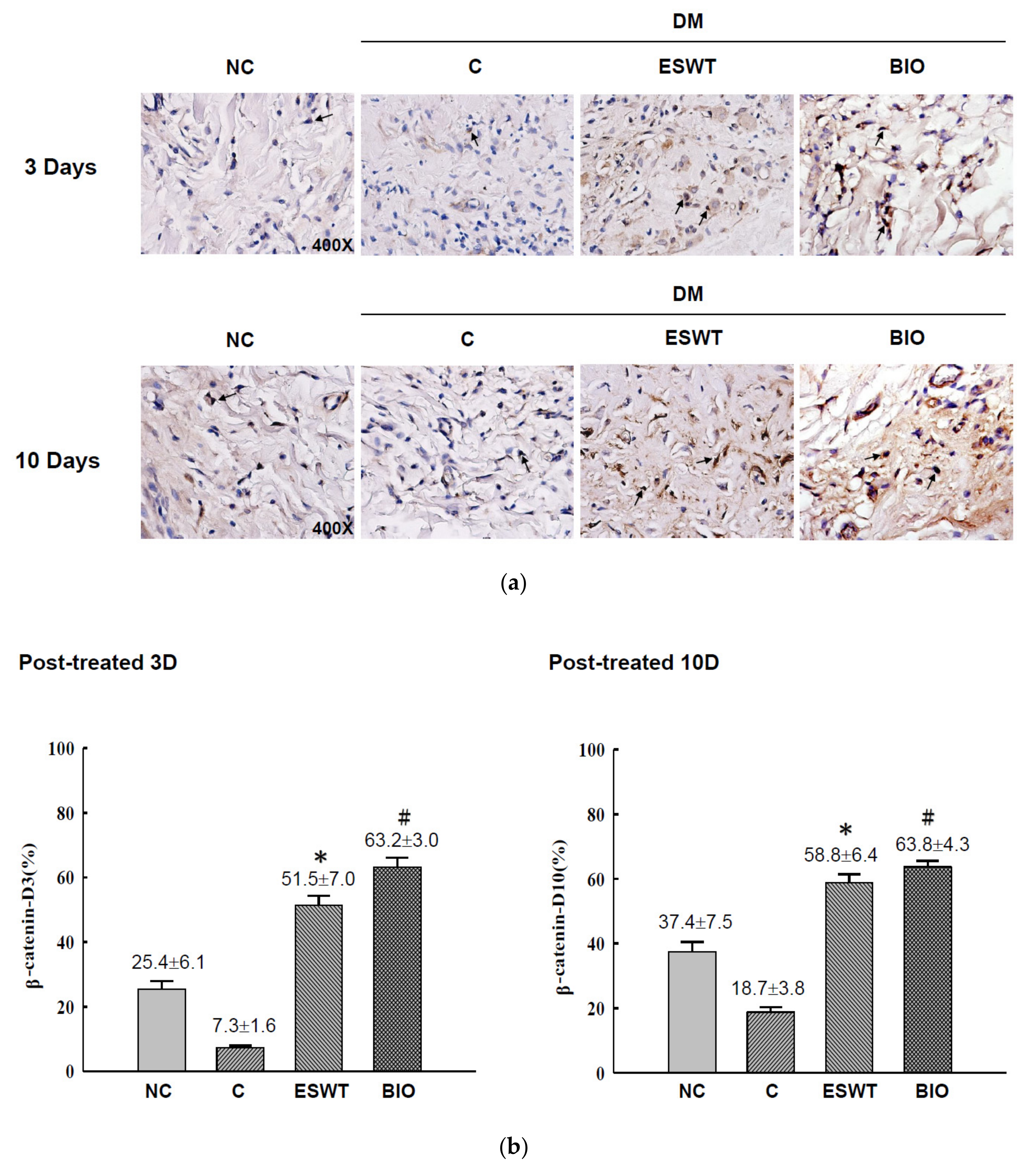 Biomedicines 09 00021 g004