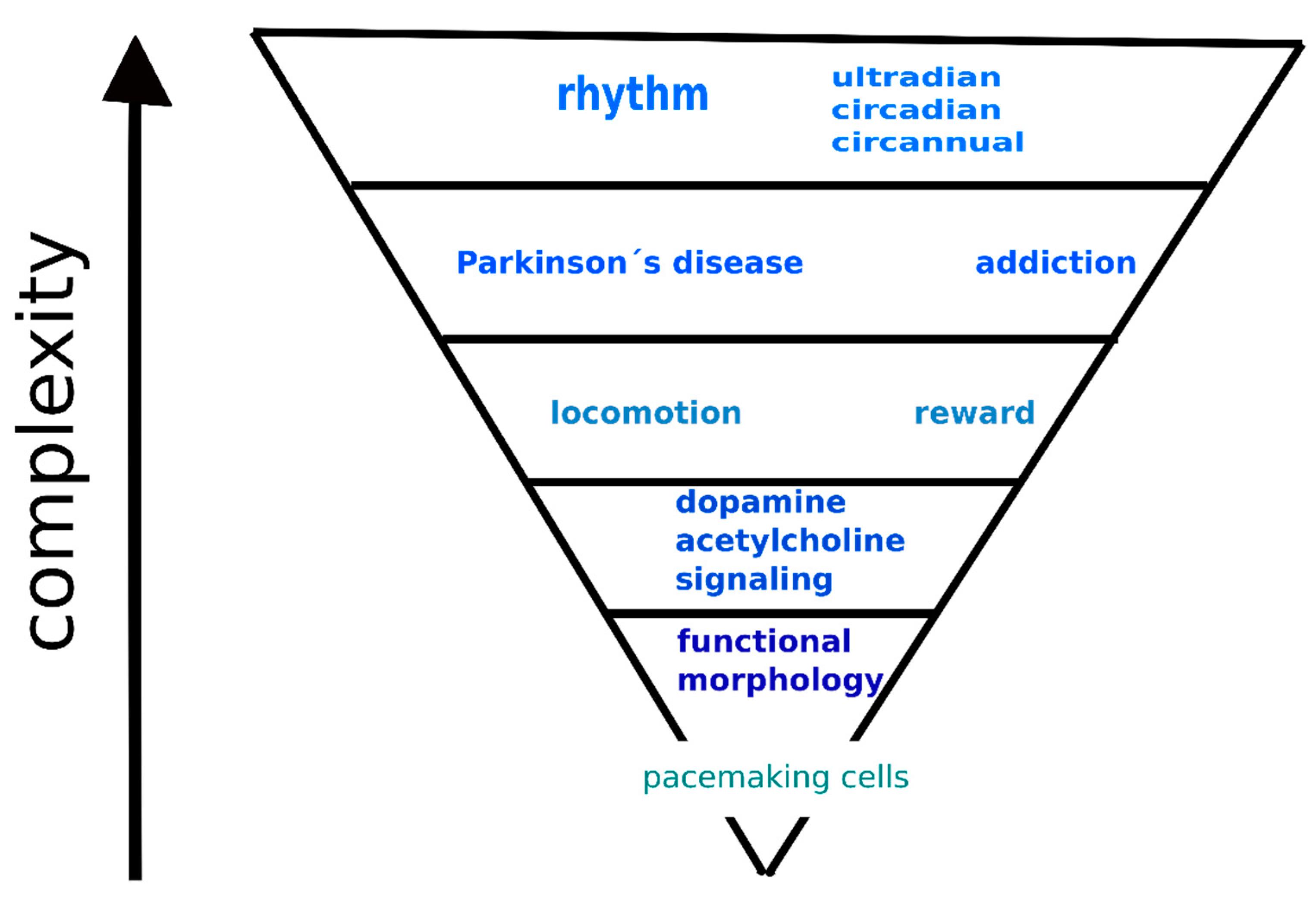 Biomedicines 09 00025 g002