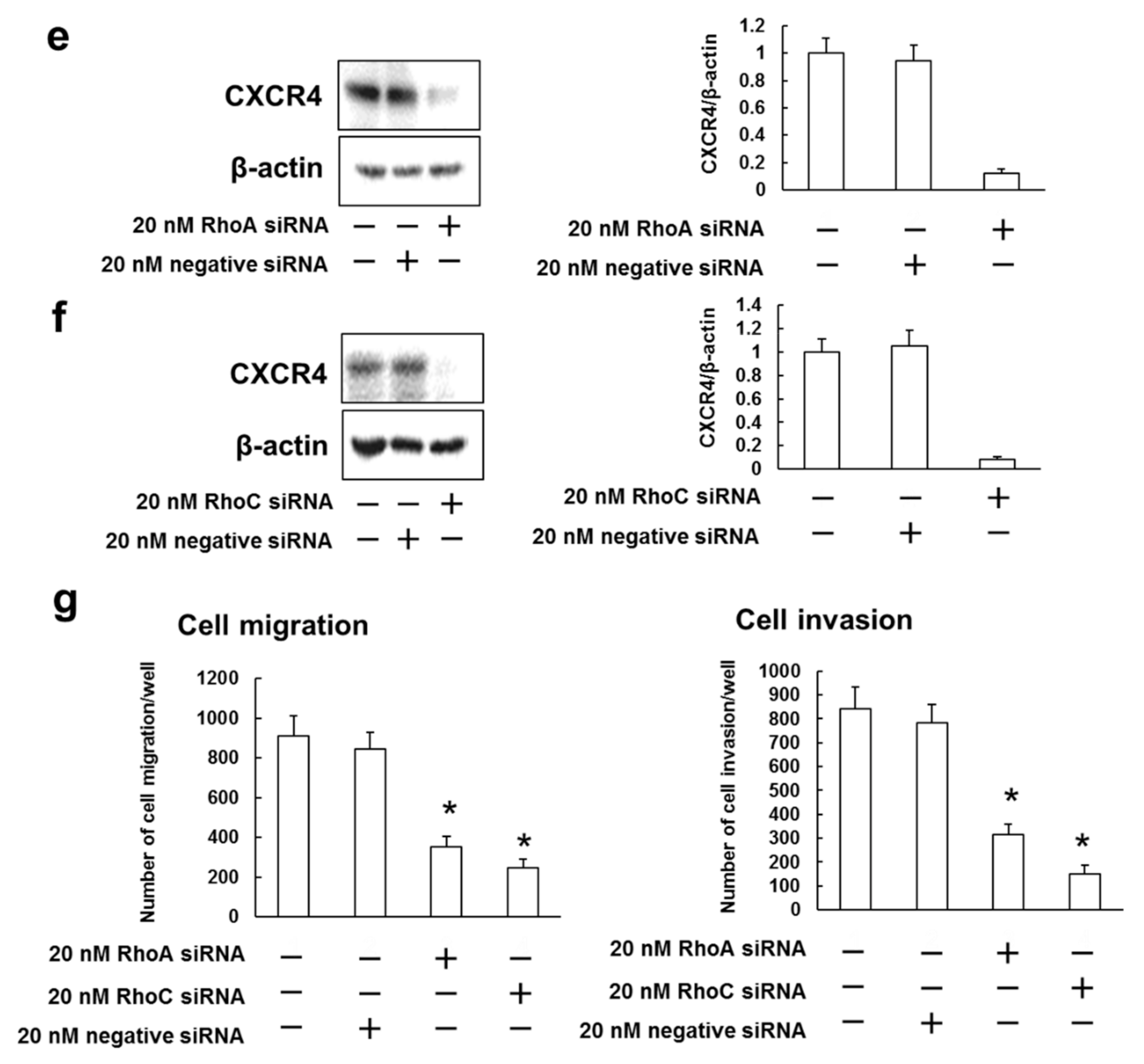 Biomedicines 09 00035 g005b