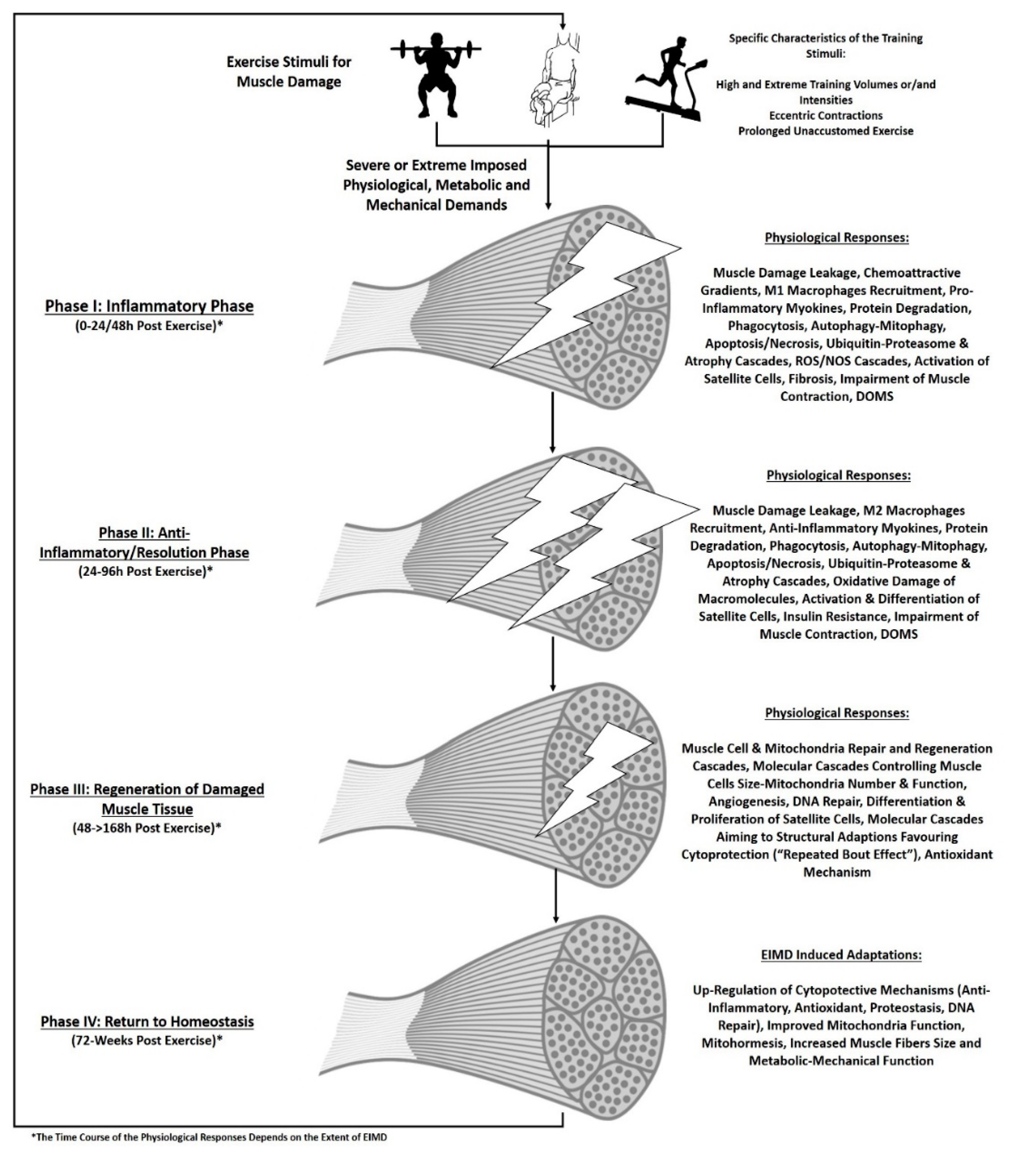 Biomedicines 09 00036 g001