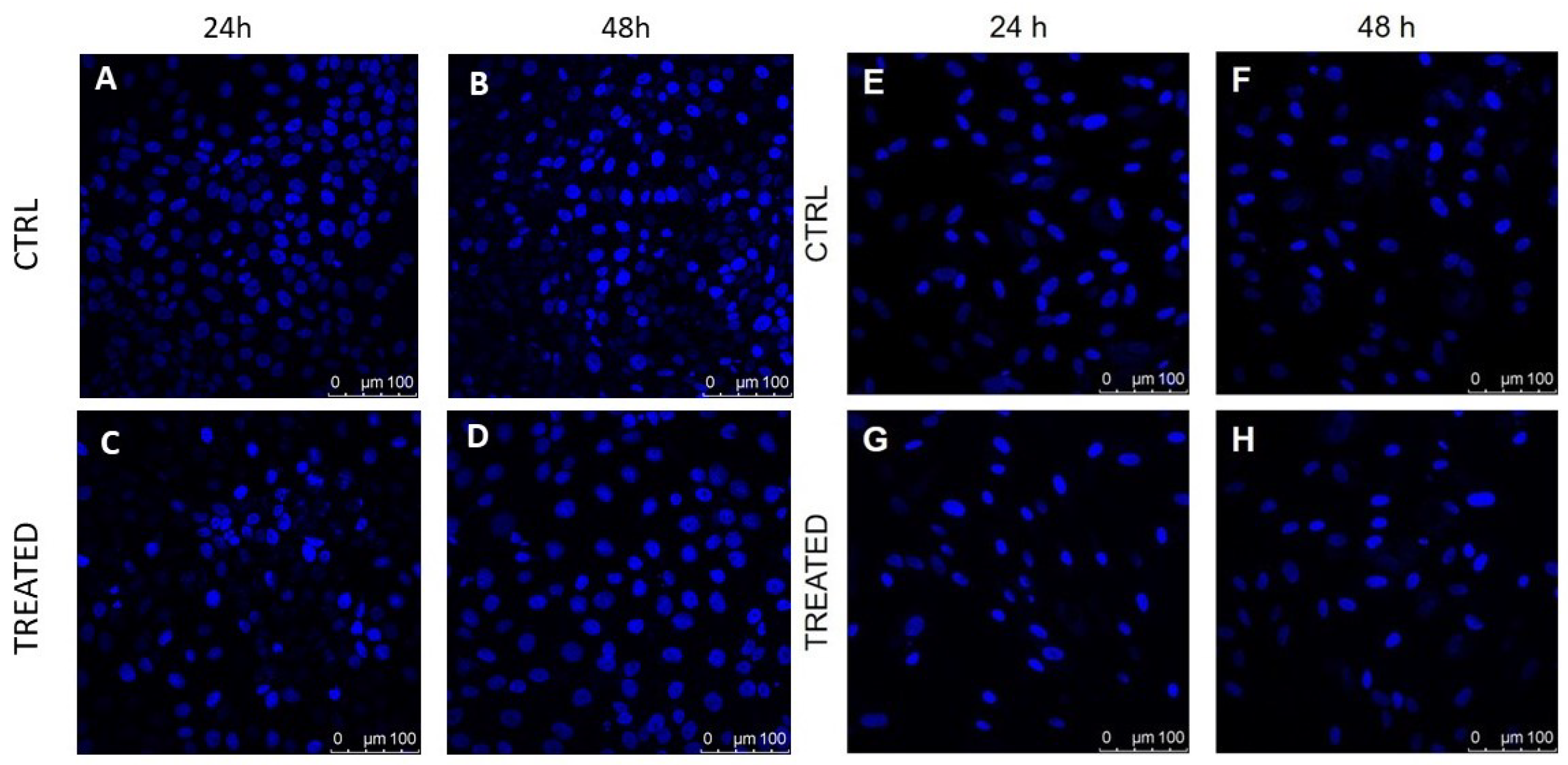 Biomedicines 09 00041 g003
