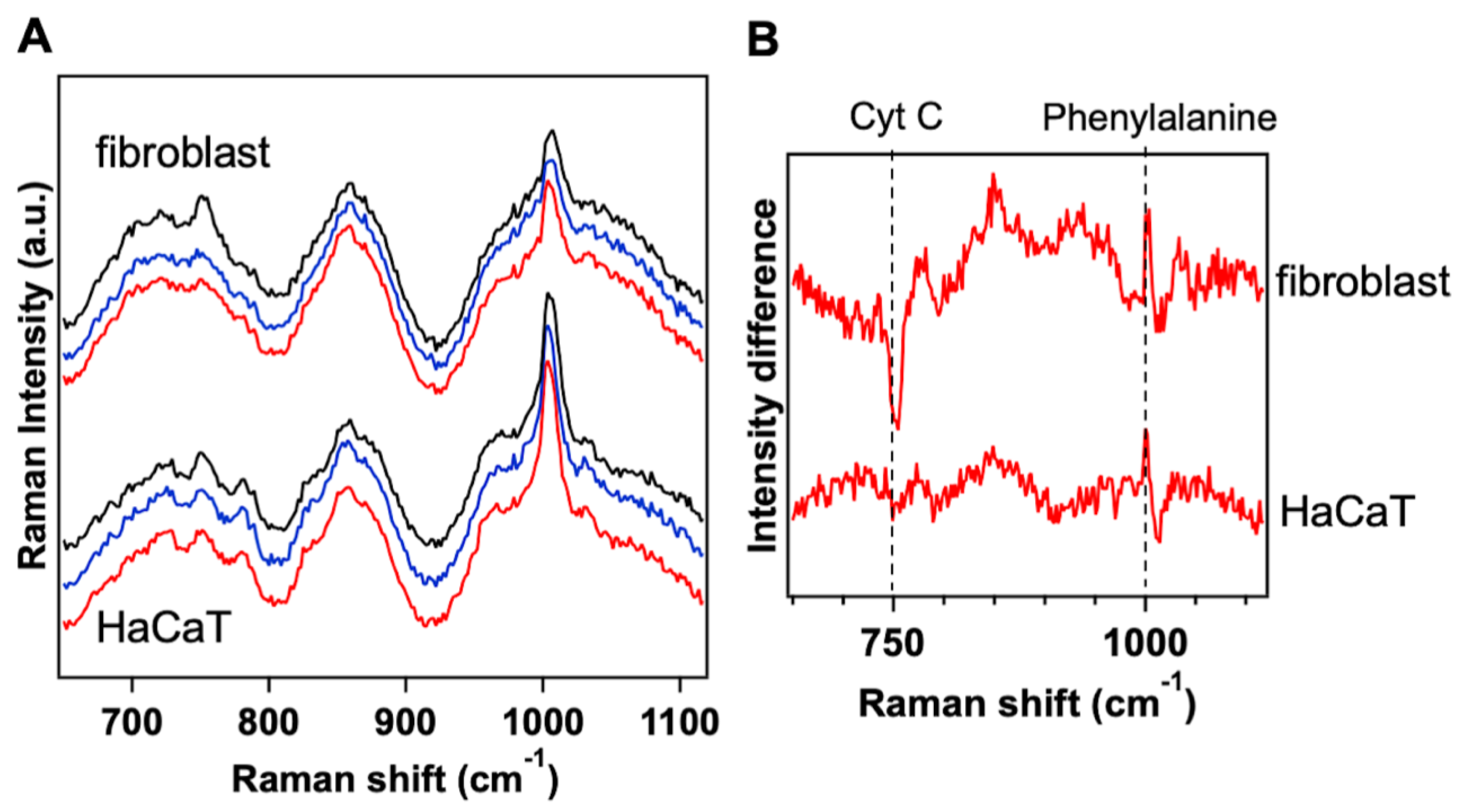 Biomedicines 09 00041 g005