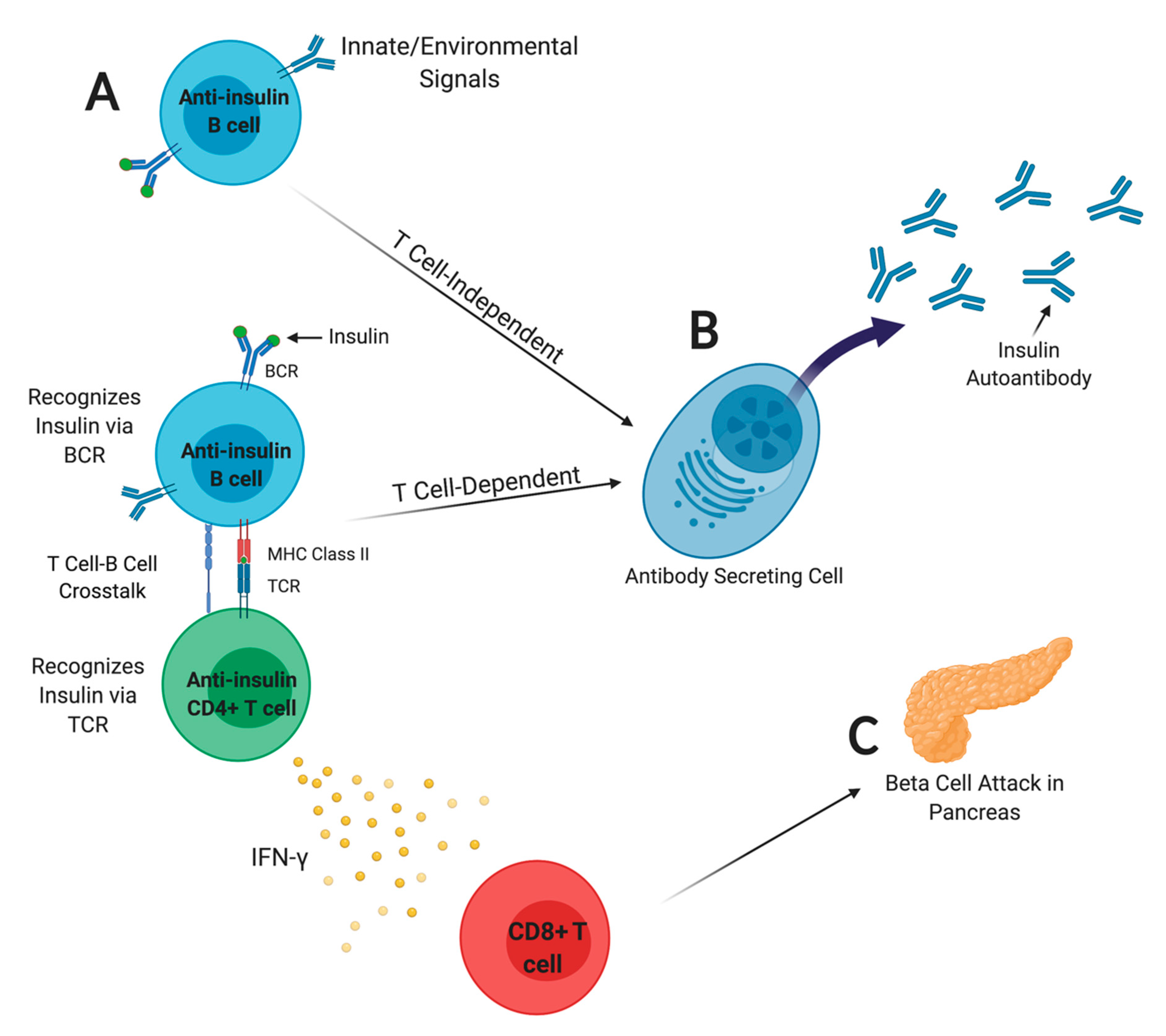 Biomedicines 09 00042 g001