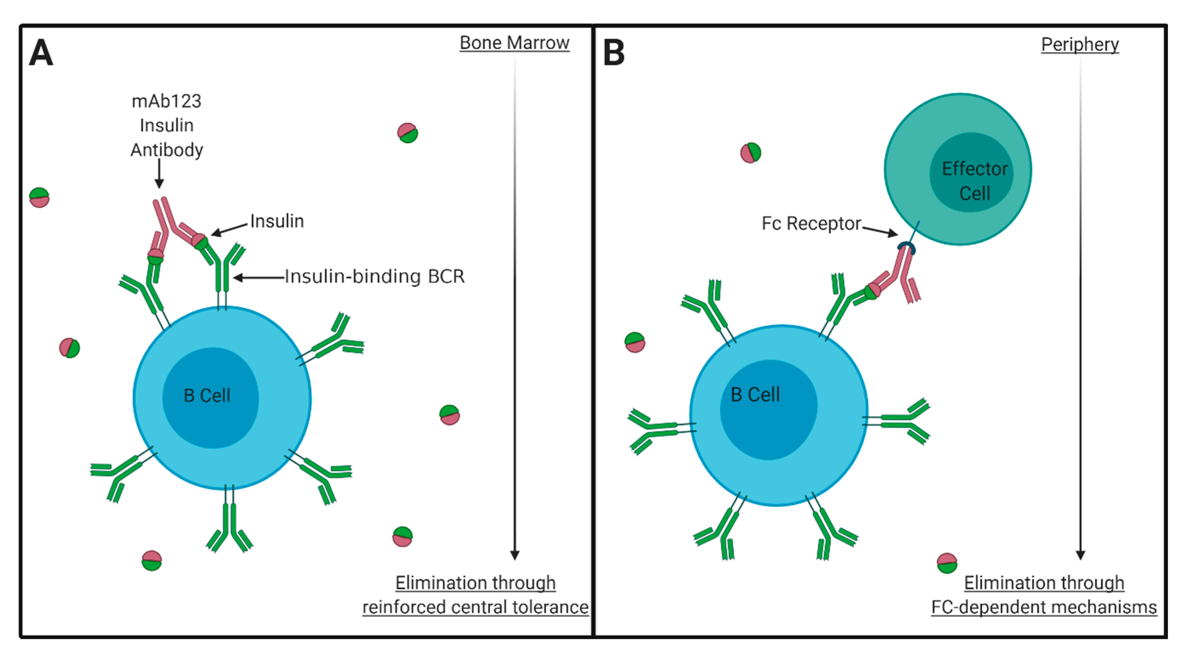 Biomedicines 09 00042 g002