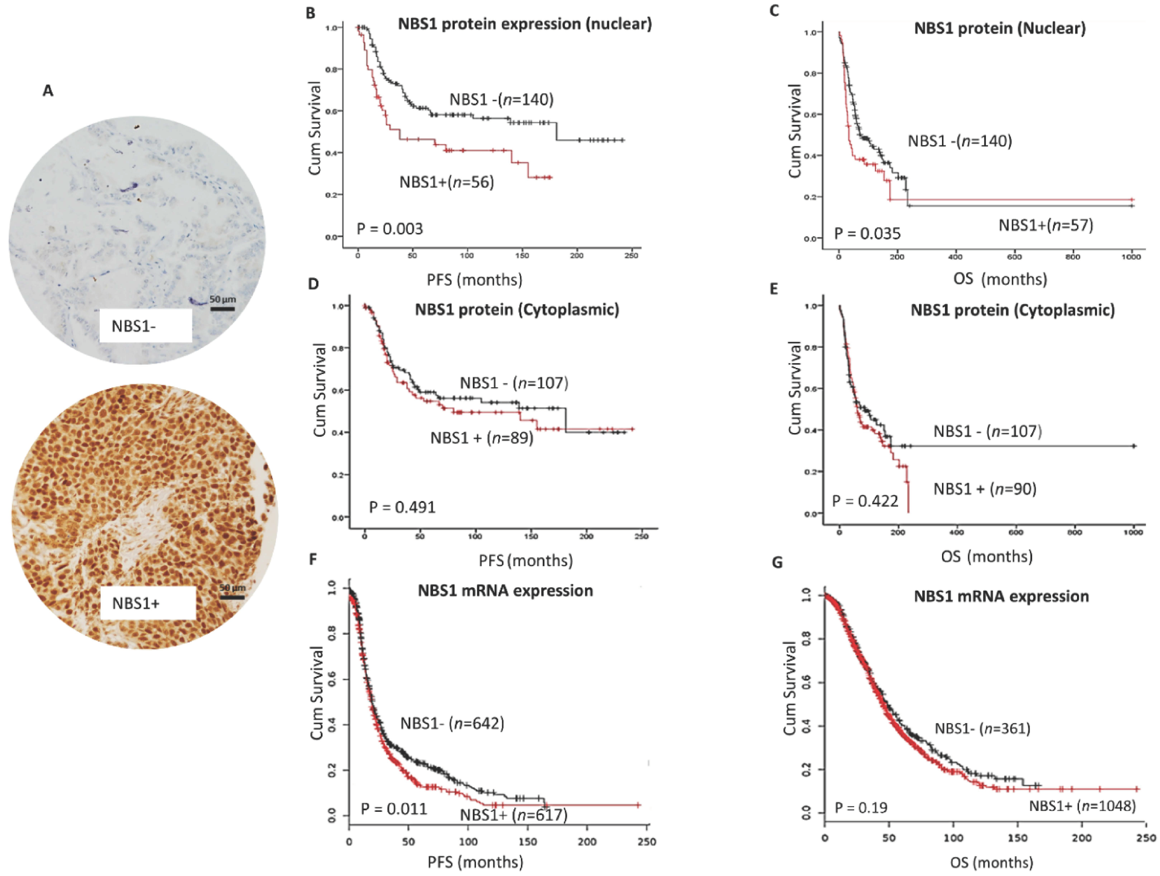 Biomedicines 09 00056 g001