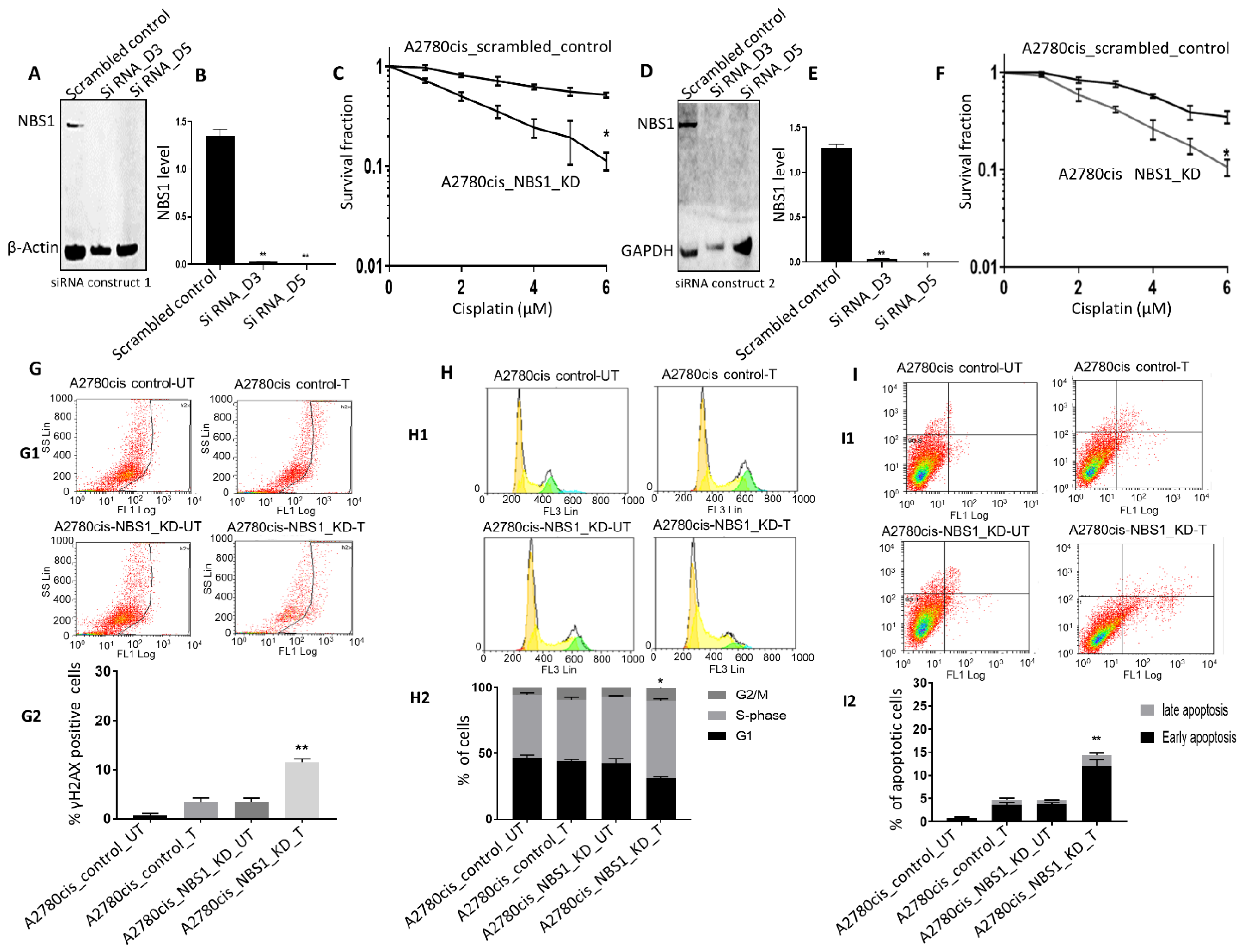 Biomedicines 09 00056 g003