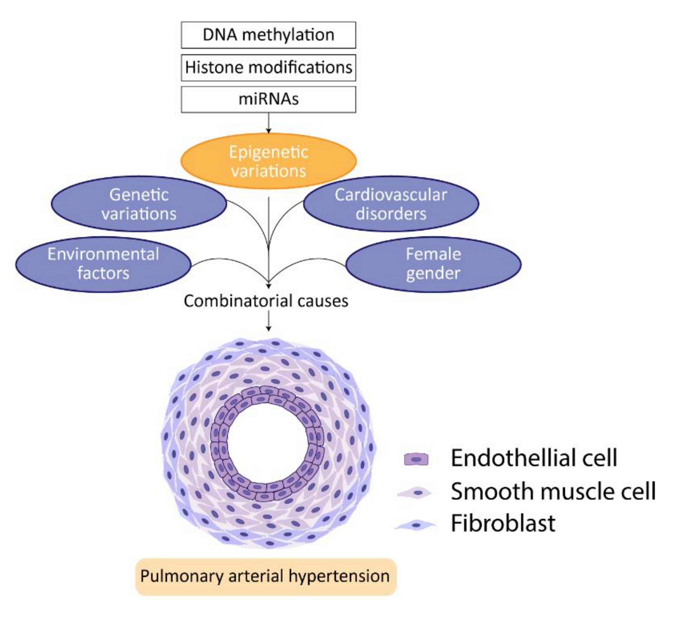 Biomedicines 09 00057 g005 Biomedicines 09 00057 g005