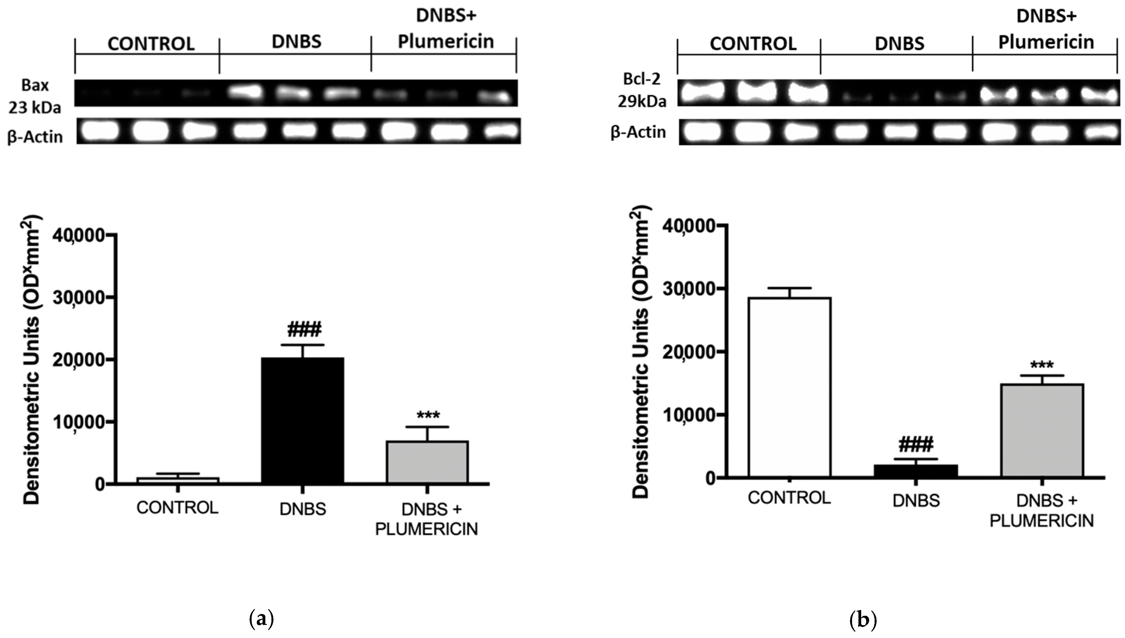 Biomedicines 09 00067 g008
