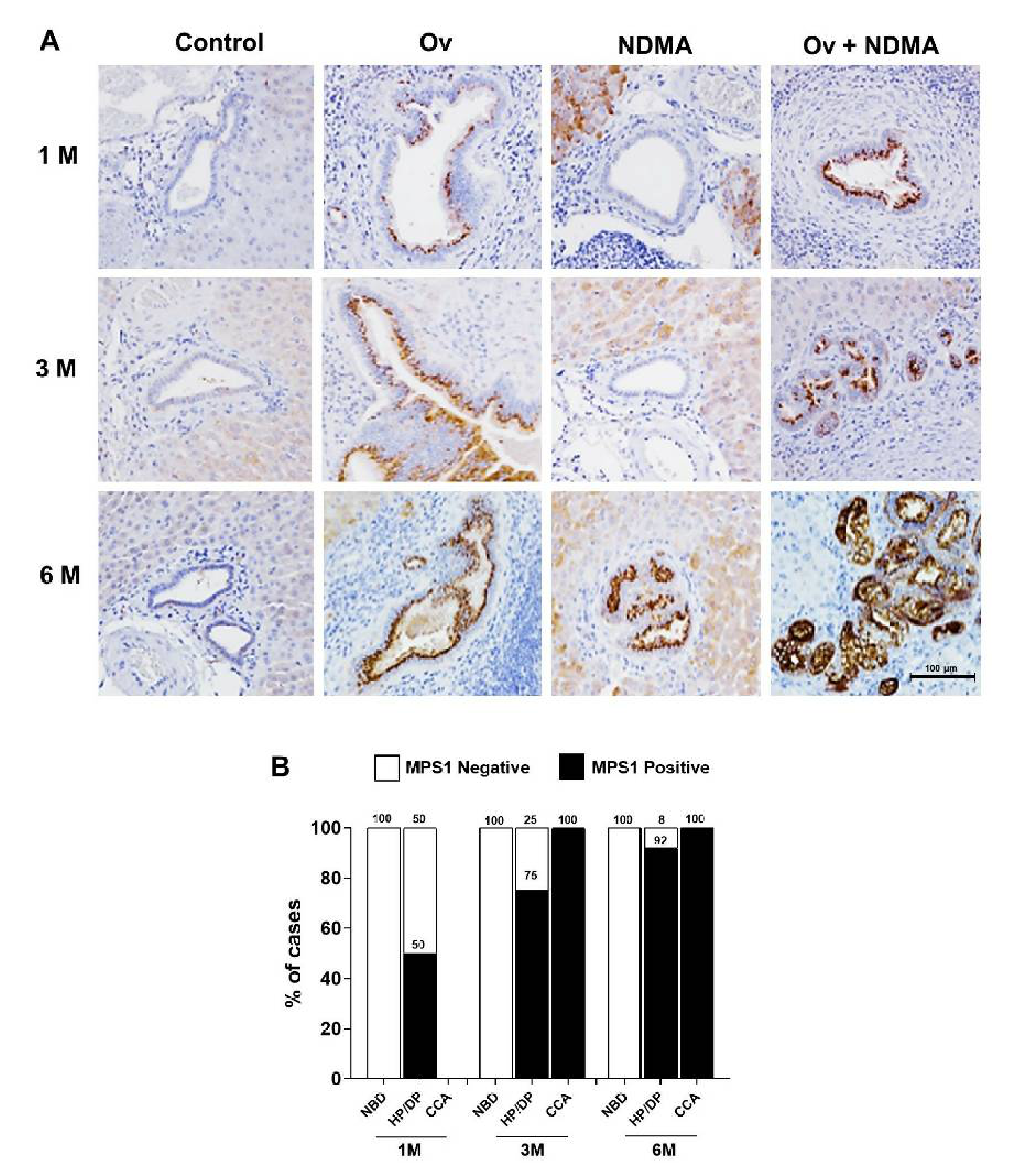 Biomedicines 09 00068 g001 Biomedicines 09 00068 g001