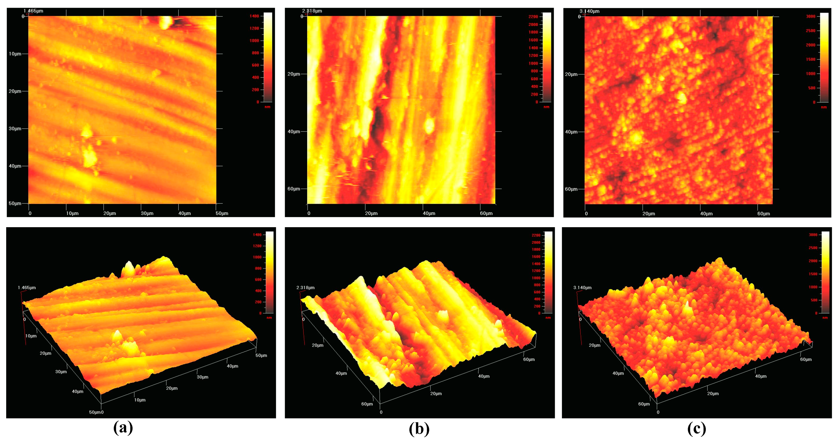 Biomedicines 09 00078 g003 Biomedicines 09 00078 g003