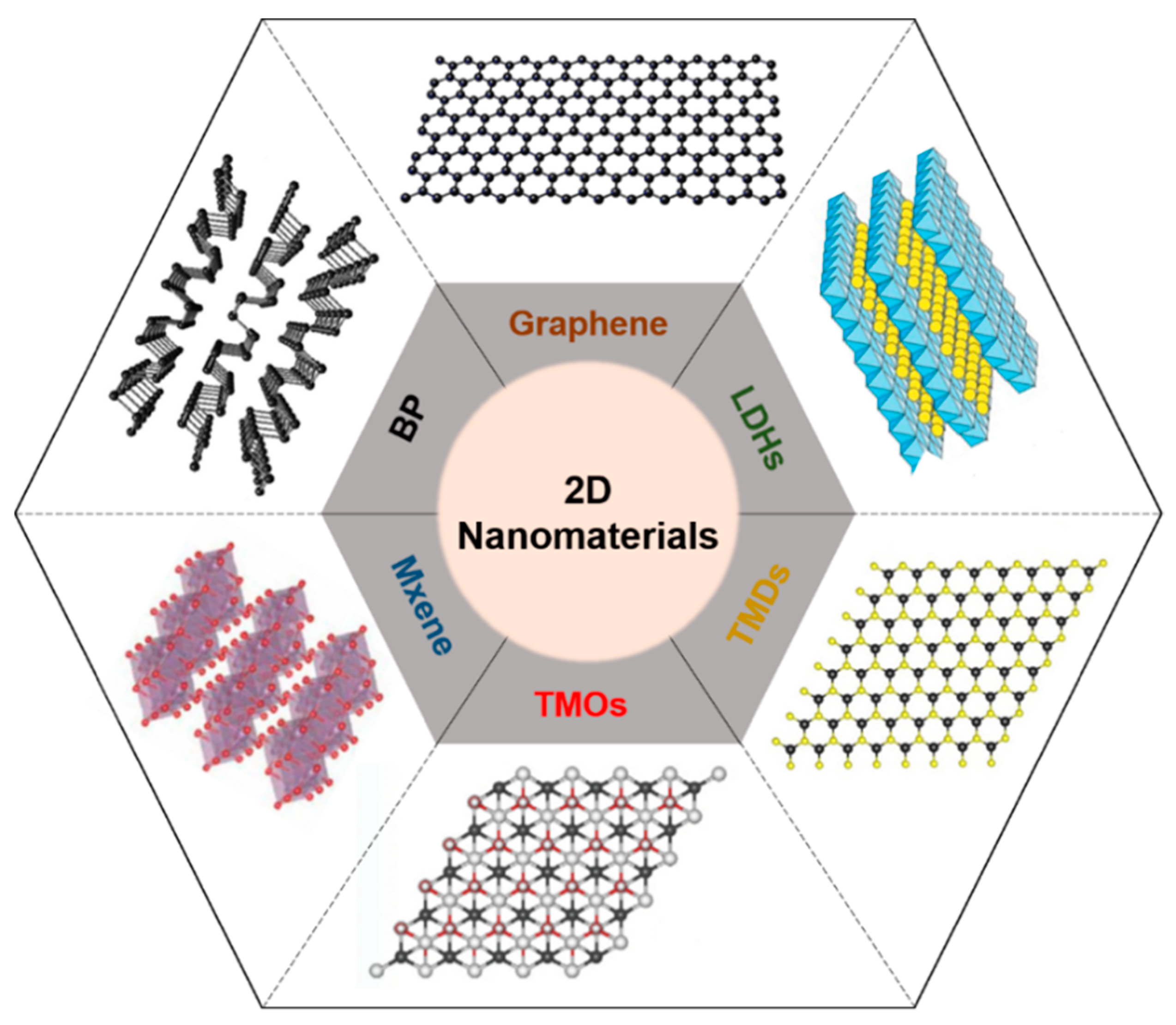 Biomedicines 09 00080 g001