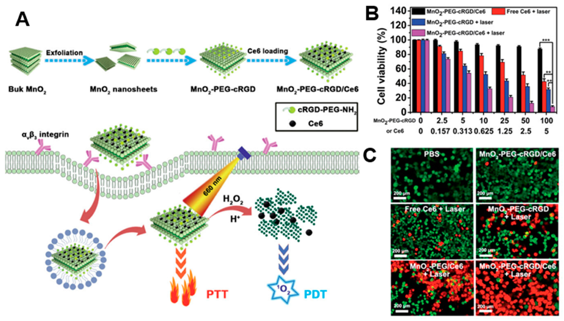 Biomedicines 09 00080 g005