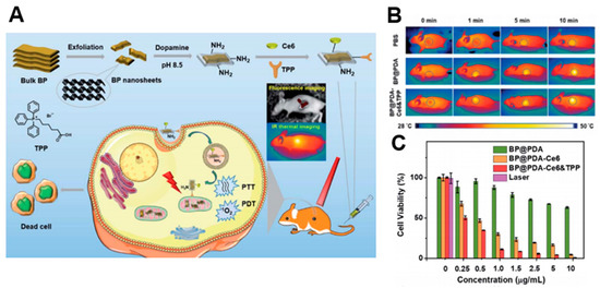 Biomedicines 09 00080 g006