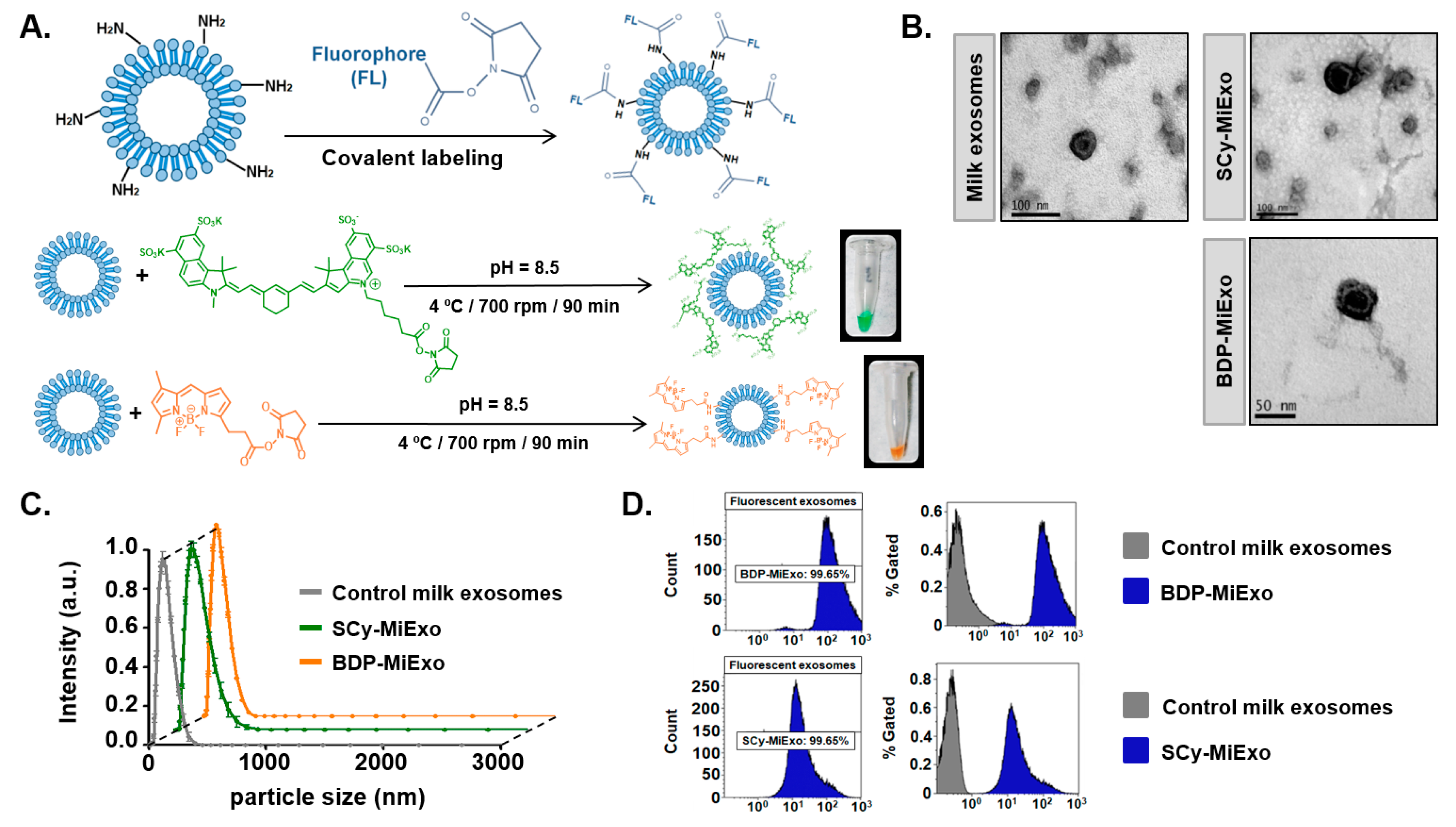 Biomedicines 09 00081 g001