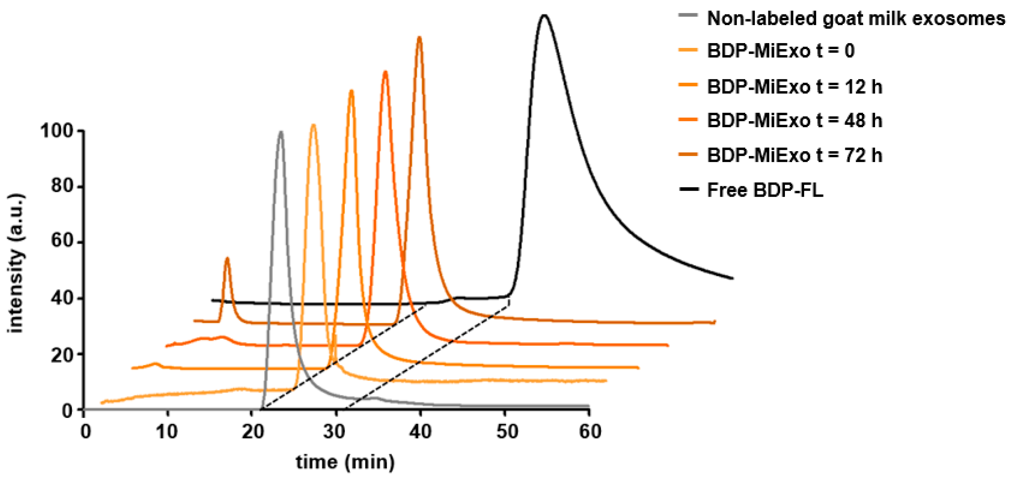Biomedicines 09 00081 g003