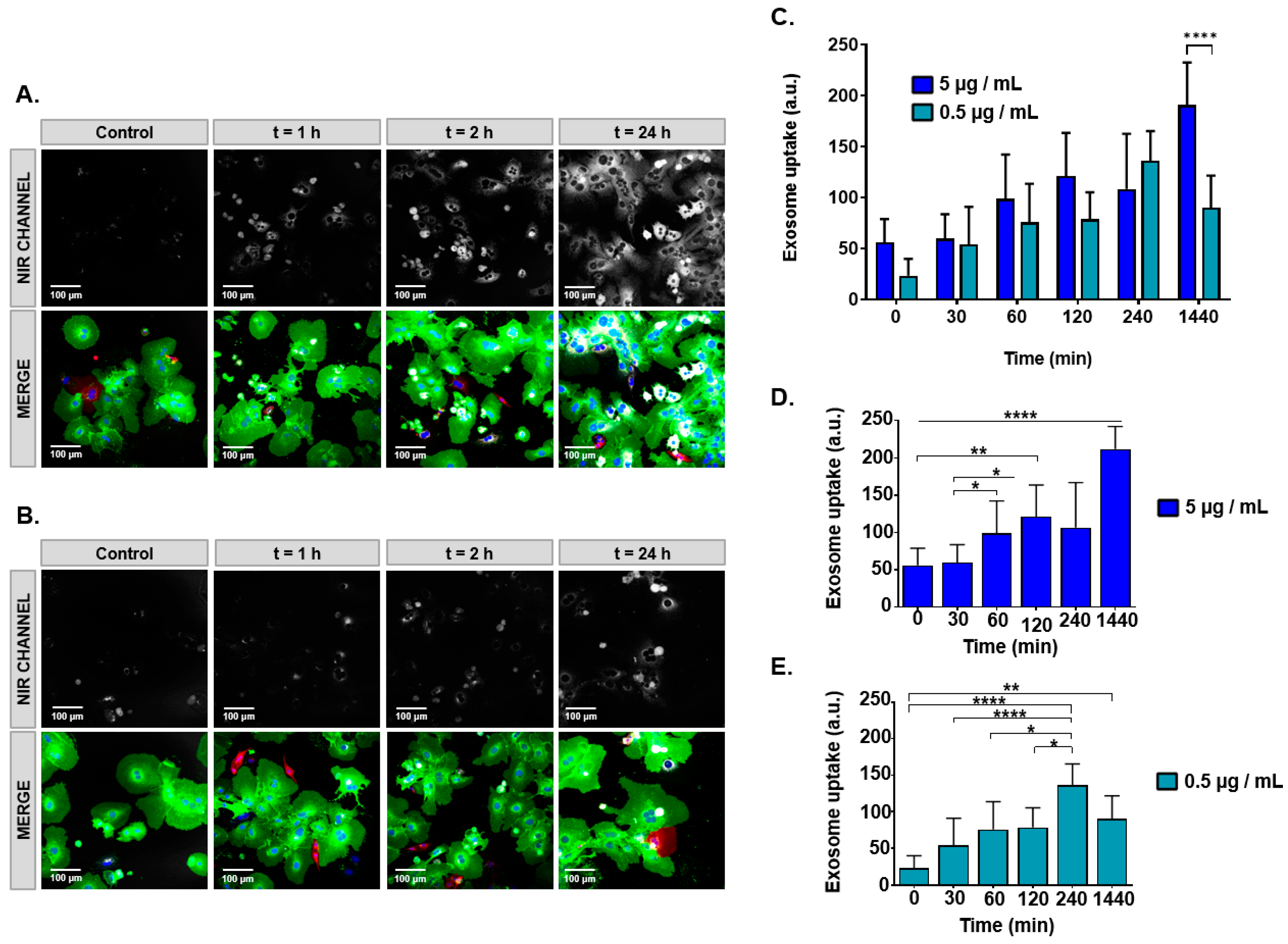 Biomedicines 09 00081 g004