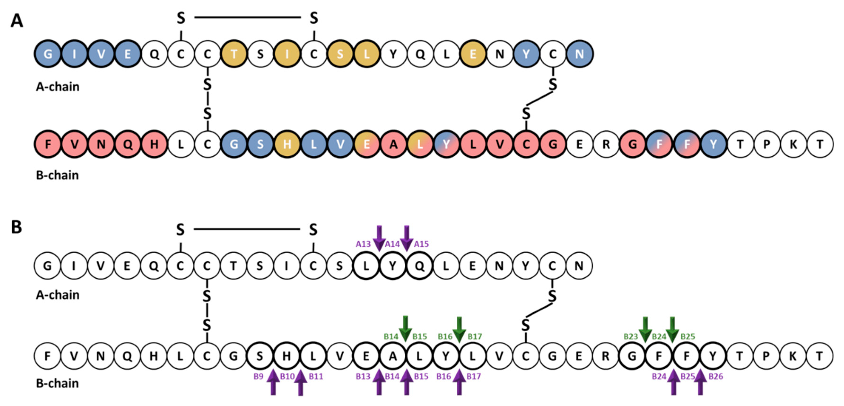 Biomedicines 09 00086 g001