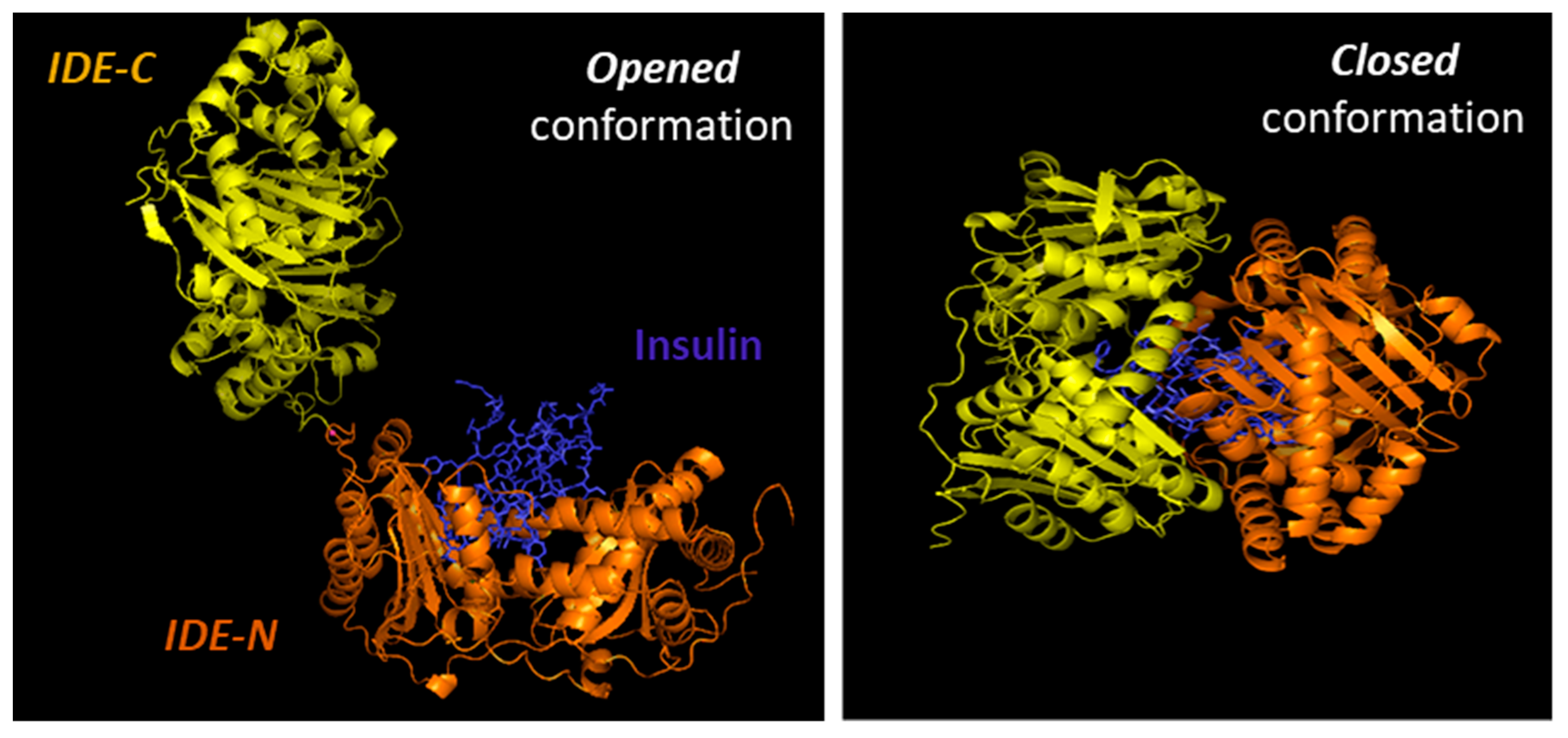 Biomedicines 09 00086 g002