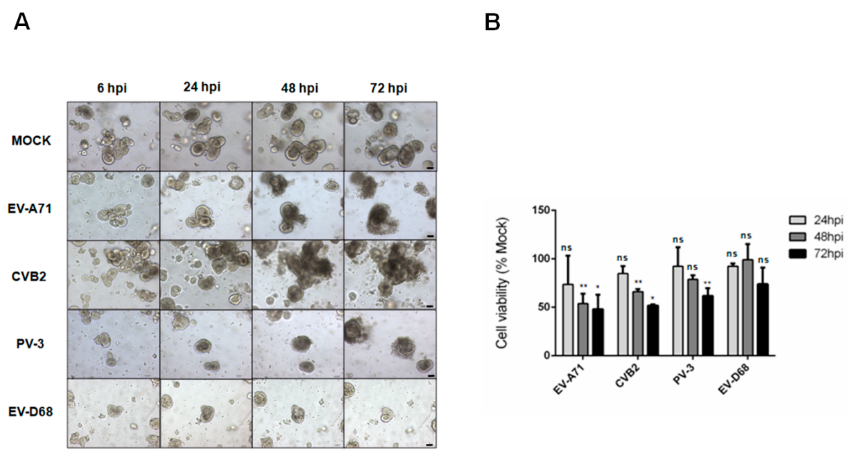 Biomedicines 09 00088 g001
