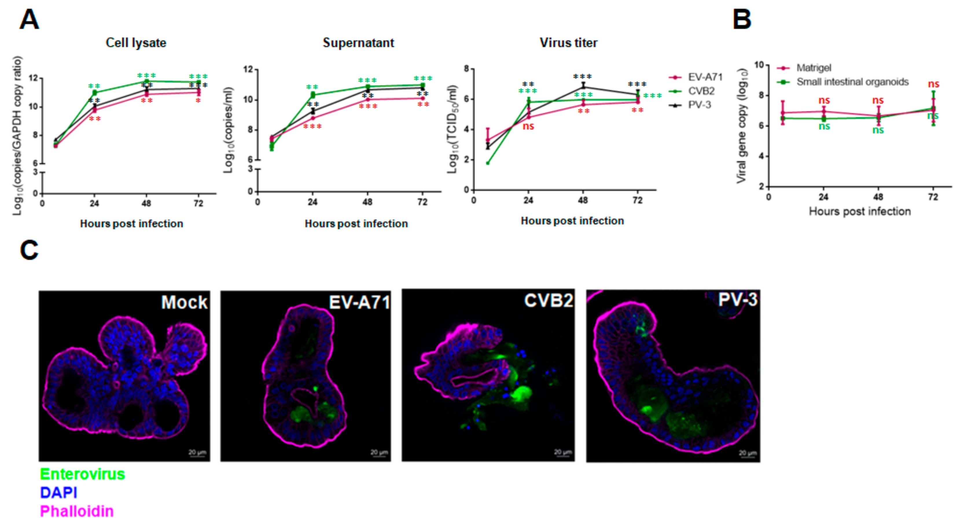 Biomedicines 09 00088 g002